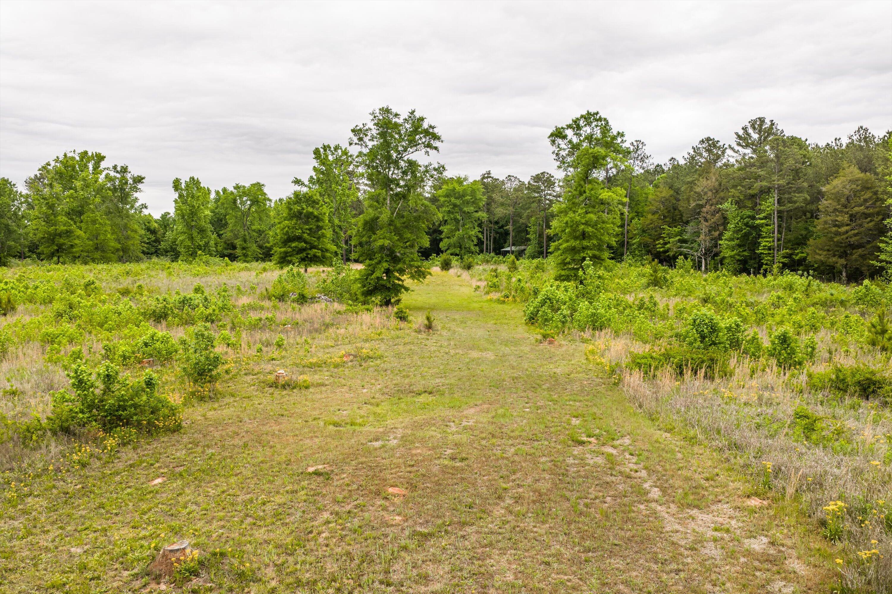 3776 Mt Zion Church Road Lincolnton, GA 30817 - Photo 10 of 39 10-DJI_20260501091644_0028_D-HDR