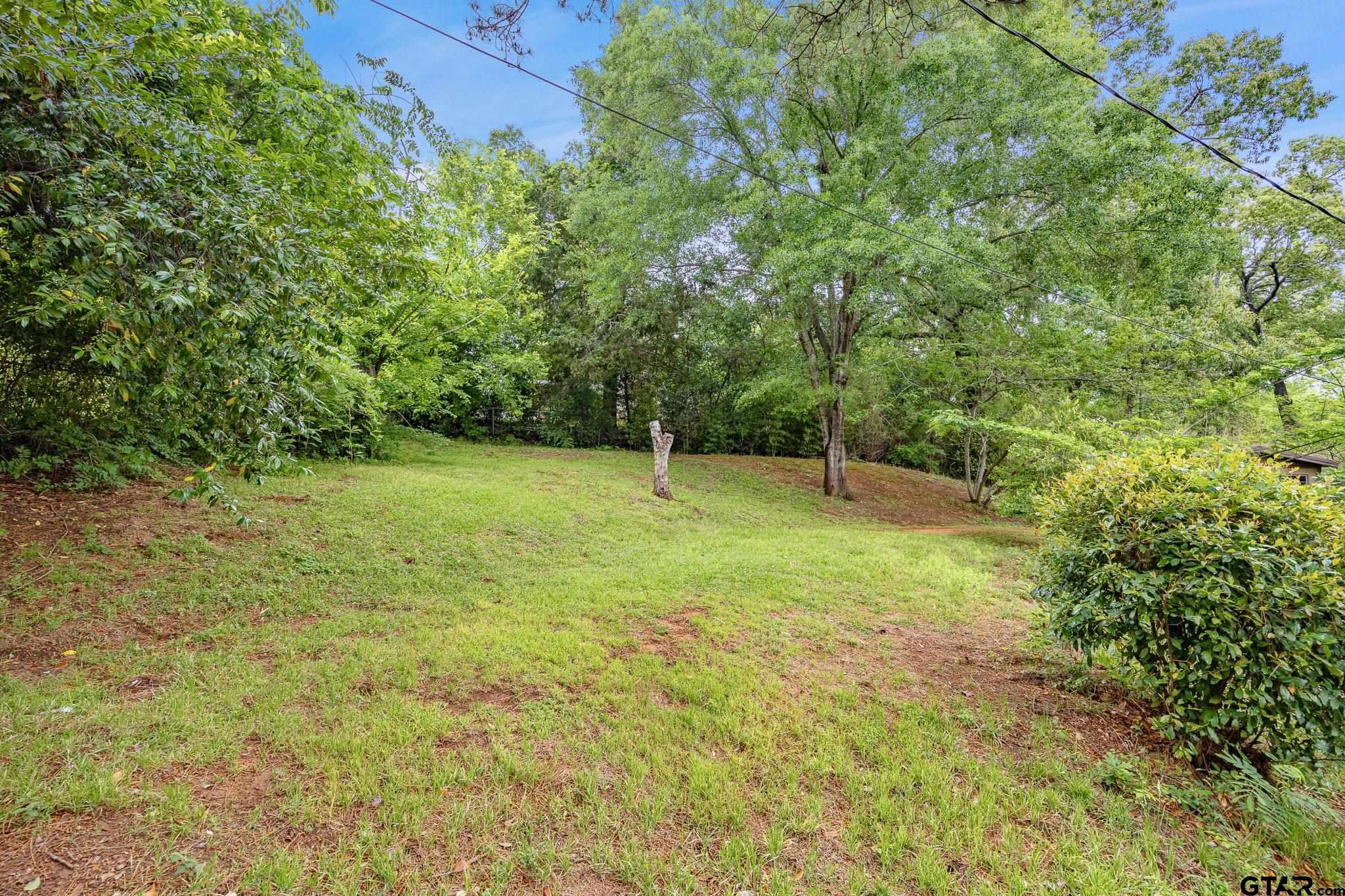 201 Old Tyler Road Whitehouse, TX 75791 - Photo 31 of 31