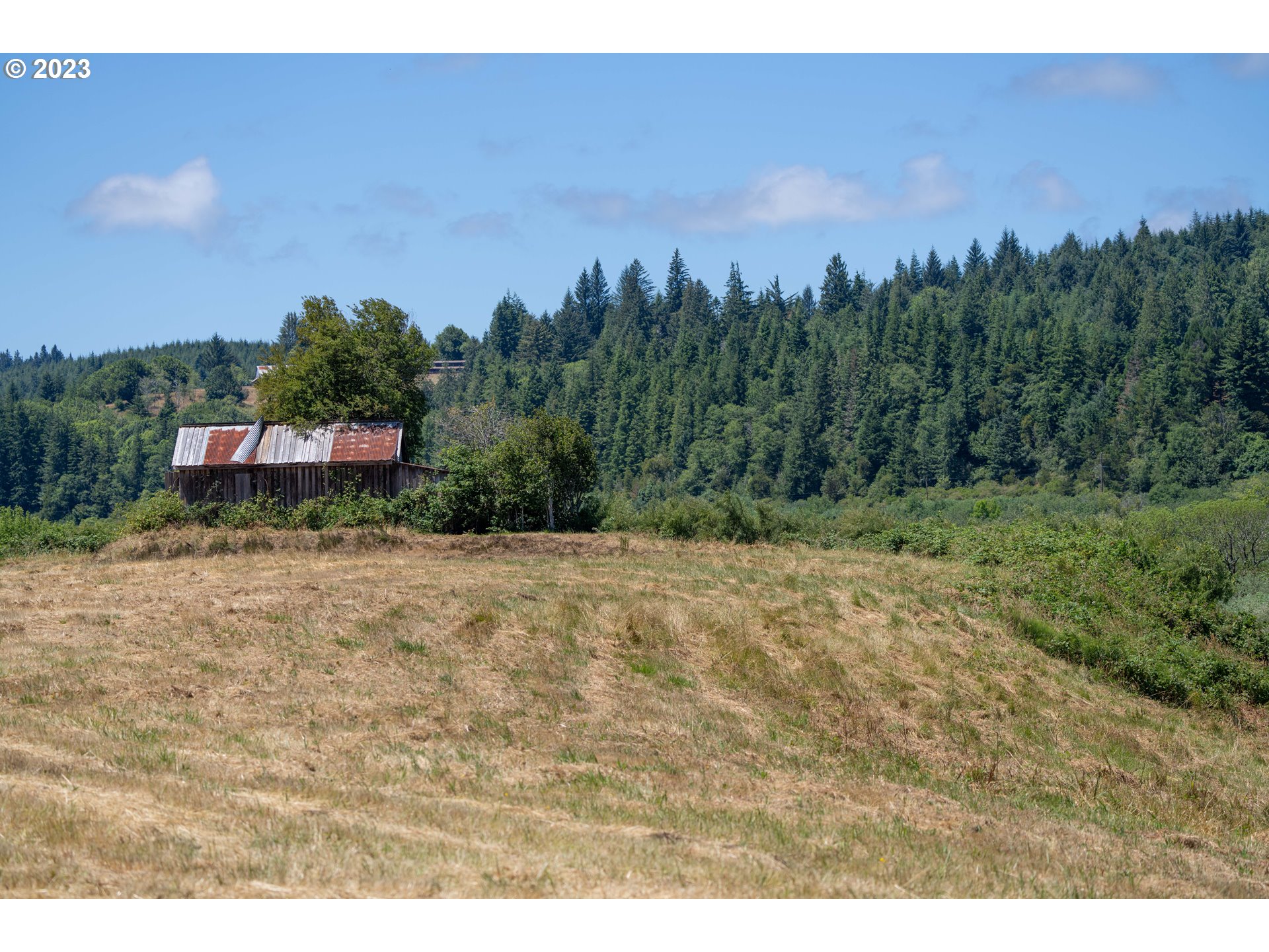 North Bank Lane Coquille, OR 97423 - Photo 5 of 6 a view of a yard