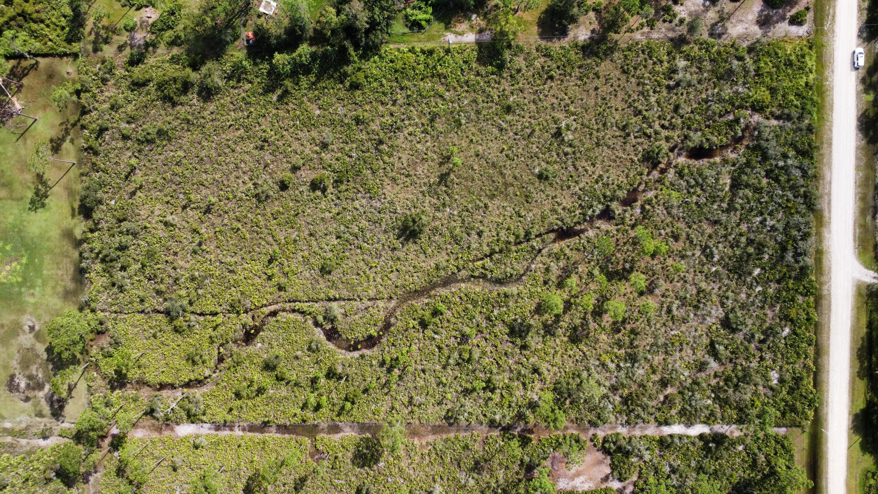 680 Pine Avenue LaBelle, FL 33935 - Photo 3 of 8 a view of a yard with a tree