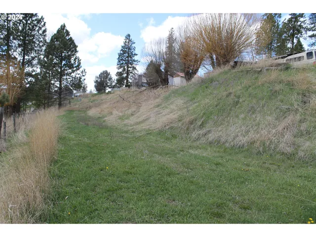a view of a yard with a tree