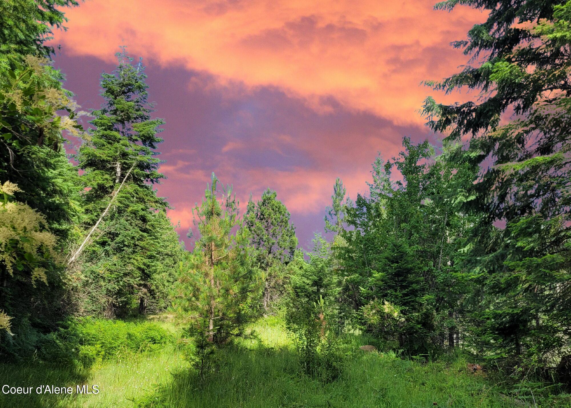 Nka South Skyview Road Harrison, ID 83833 - Photo 18 of 33 Sunsets