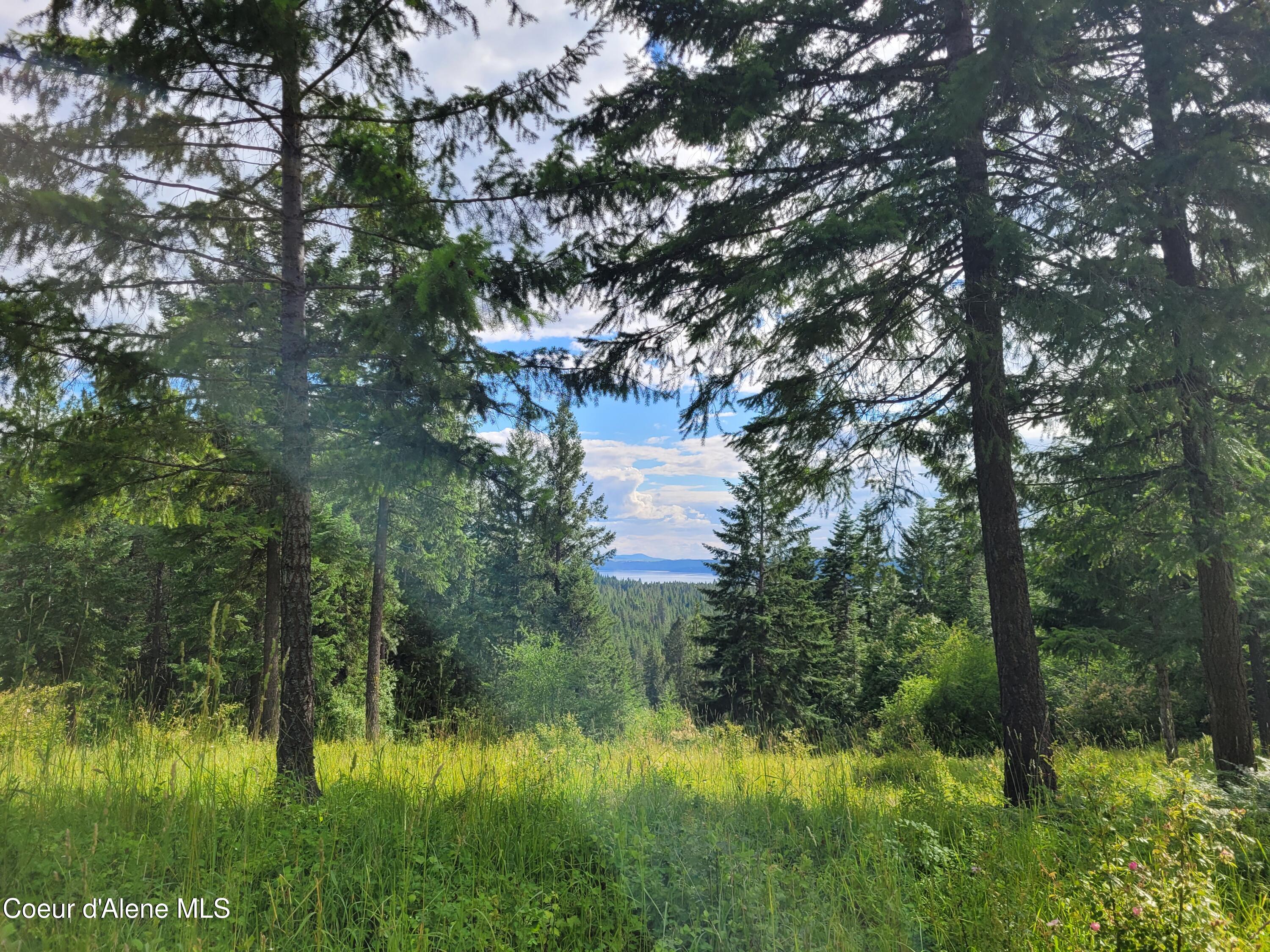 Nka South Skyview Road Harrison, ID 83833 - Photo 19 of 33 20230621_165313