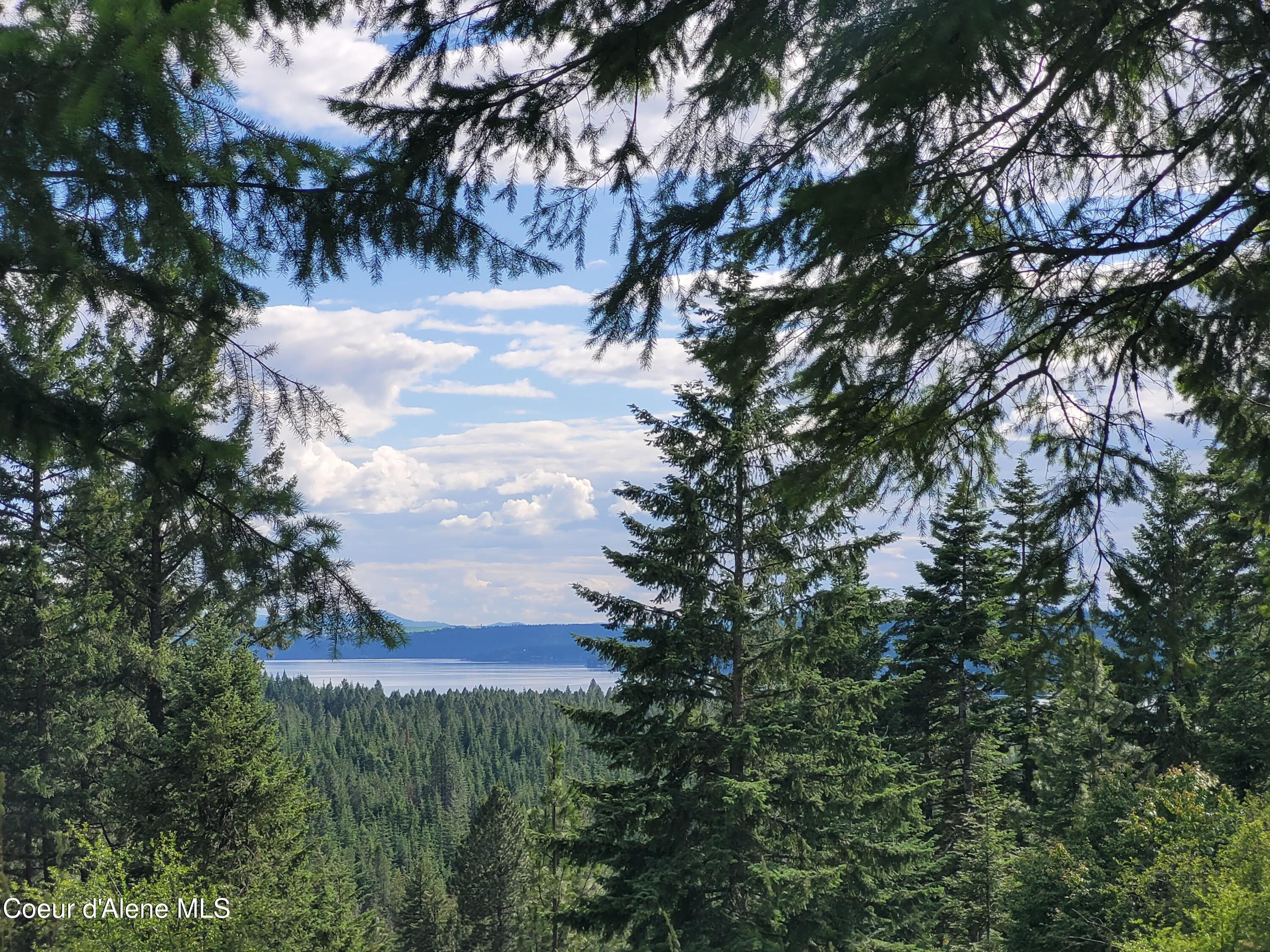 Nka South Skyview Road Harrison, ID 83833 - Photo 2 of 33 20230621_164607 (1)