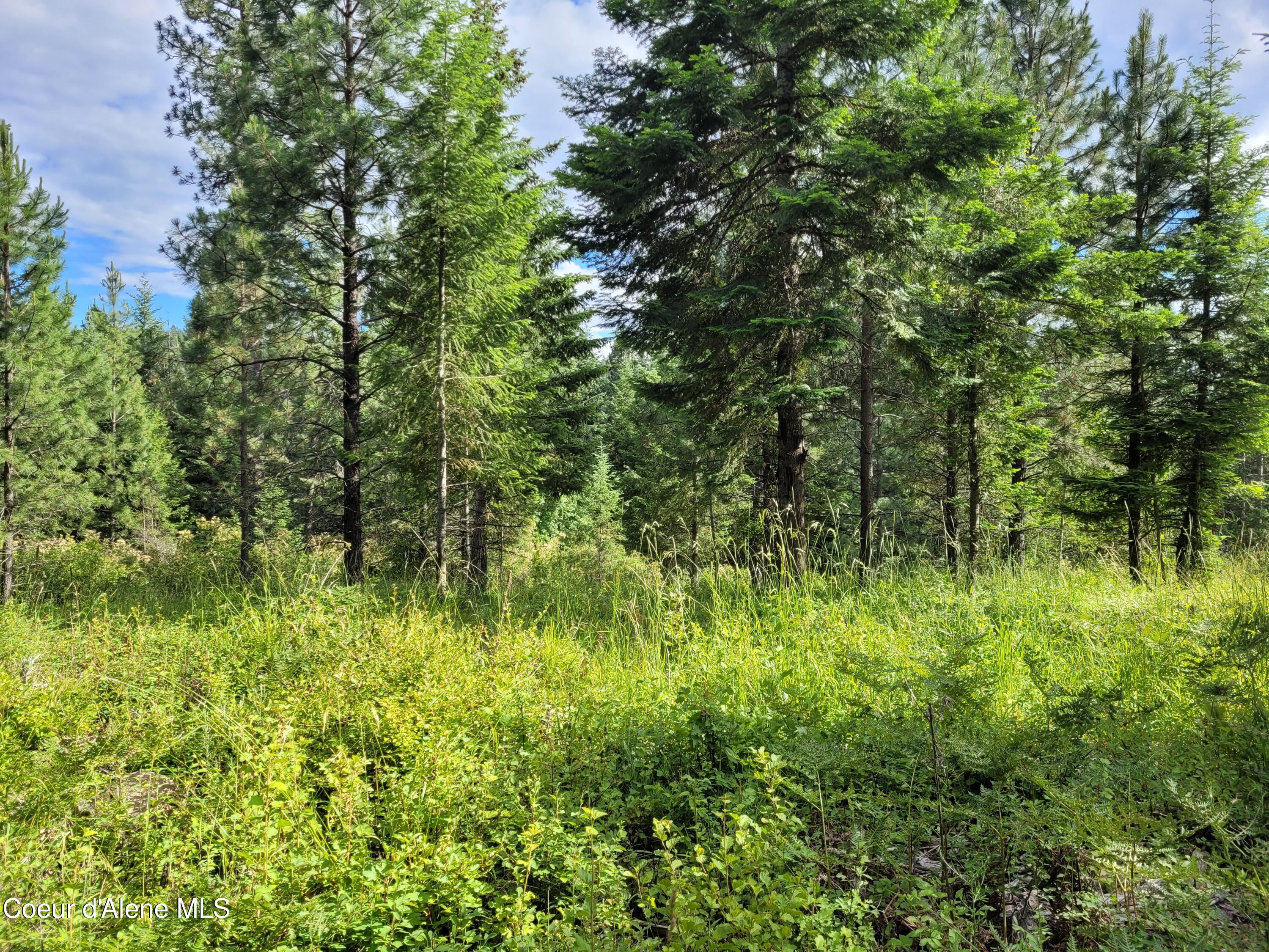 Nka South Skyview Road Harrison, ID 83833 - Photo 21 of 33 20230621_164746