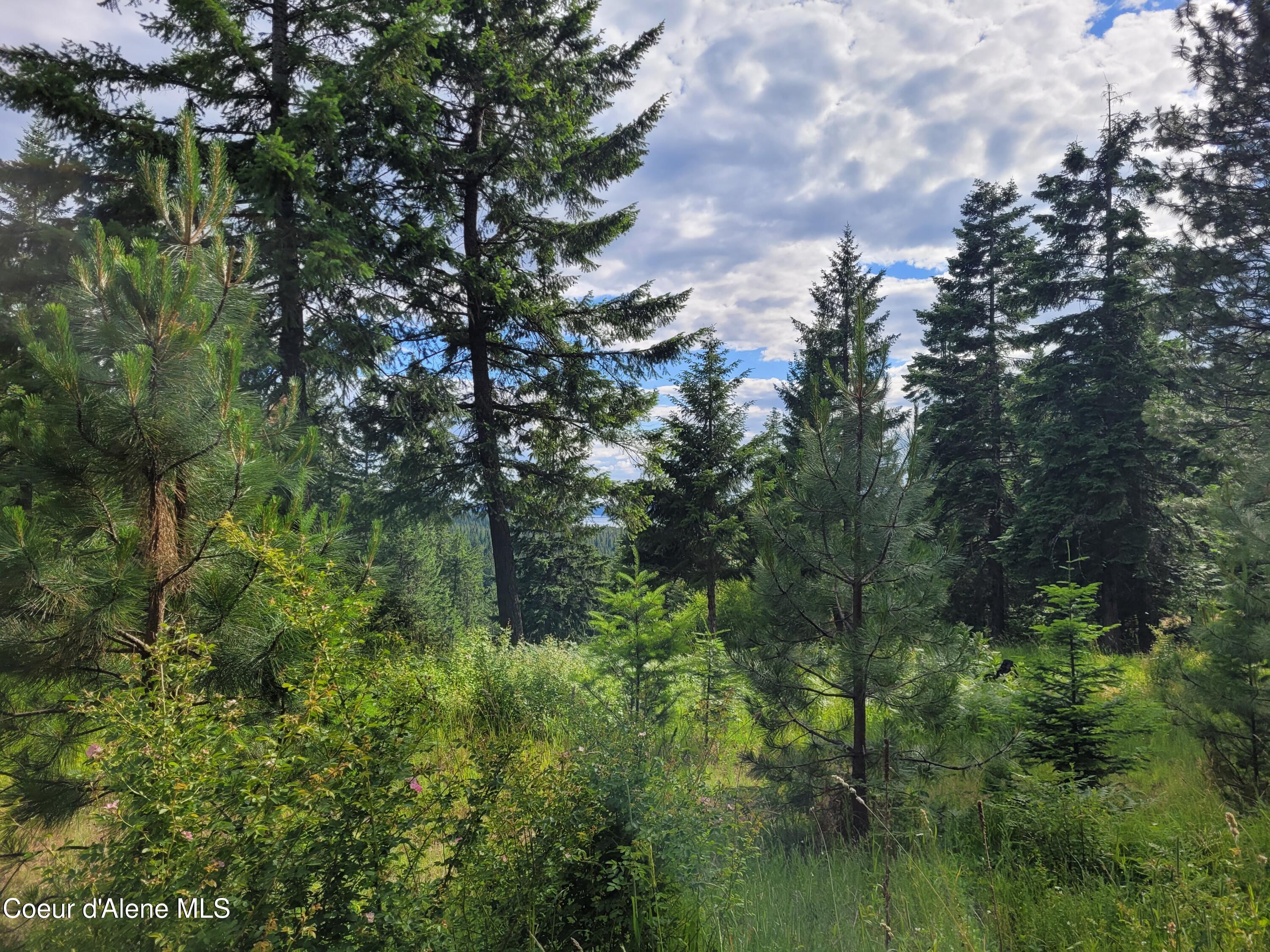 Nka South Skyview Road Harrison, ID 83833 - Photo 23 of 33 20230621_164543