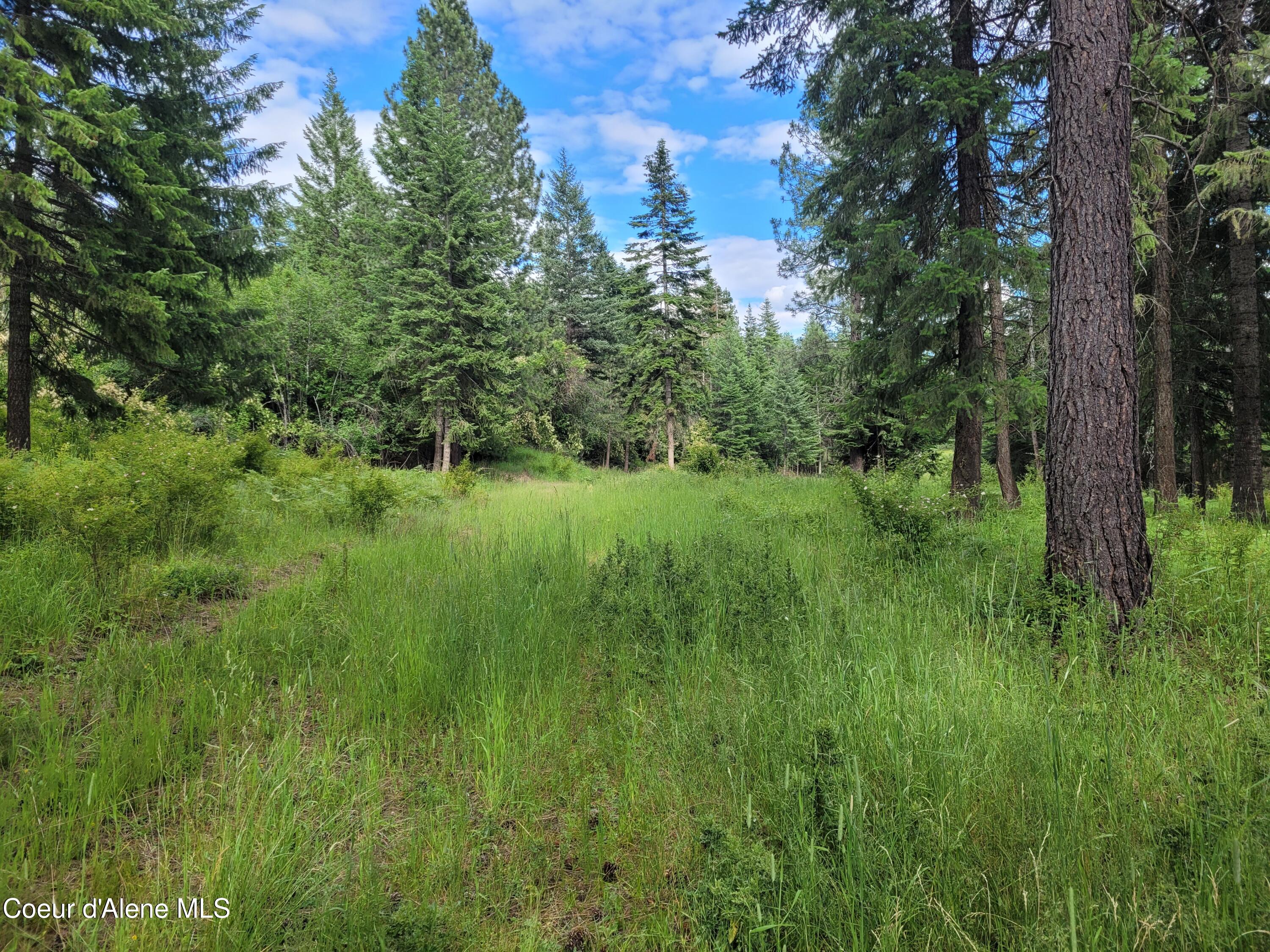 Nka South Skyview Road Harrison, ID 83833 - Photo 26 of 33 20230621_164041 (1)