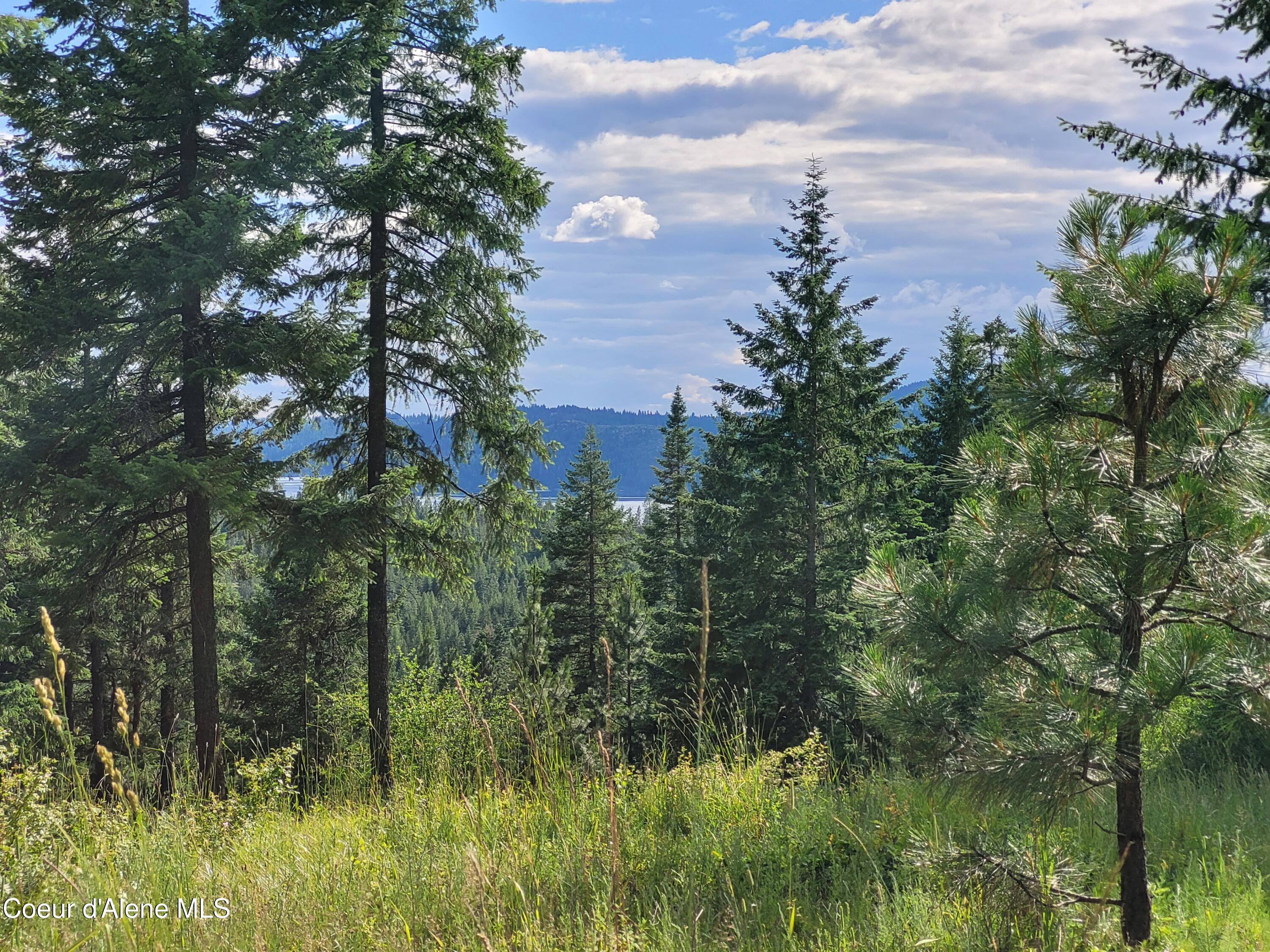 Nka South Skyview Road Harrison, ID 83833 - Photo 4 of 33 20230621_164657