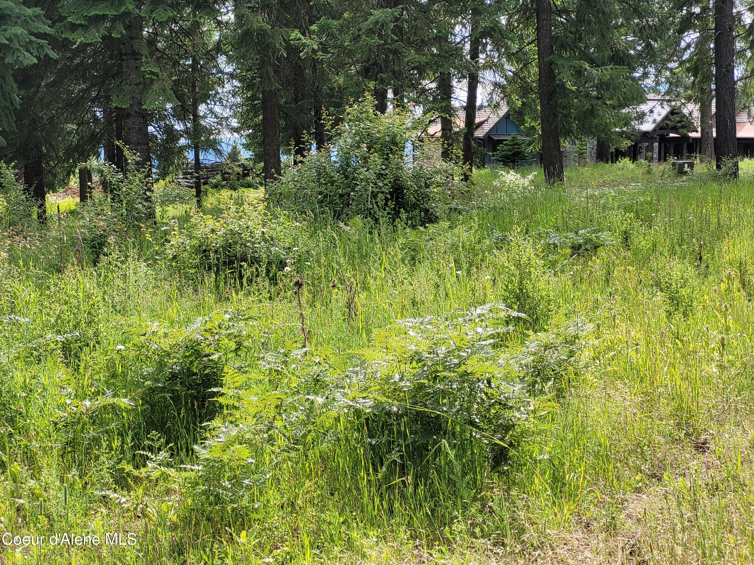 Nka South Skyview Road Harrison, ID 83833 - Photo 6 of 33 20230621_164157