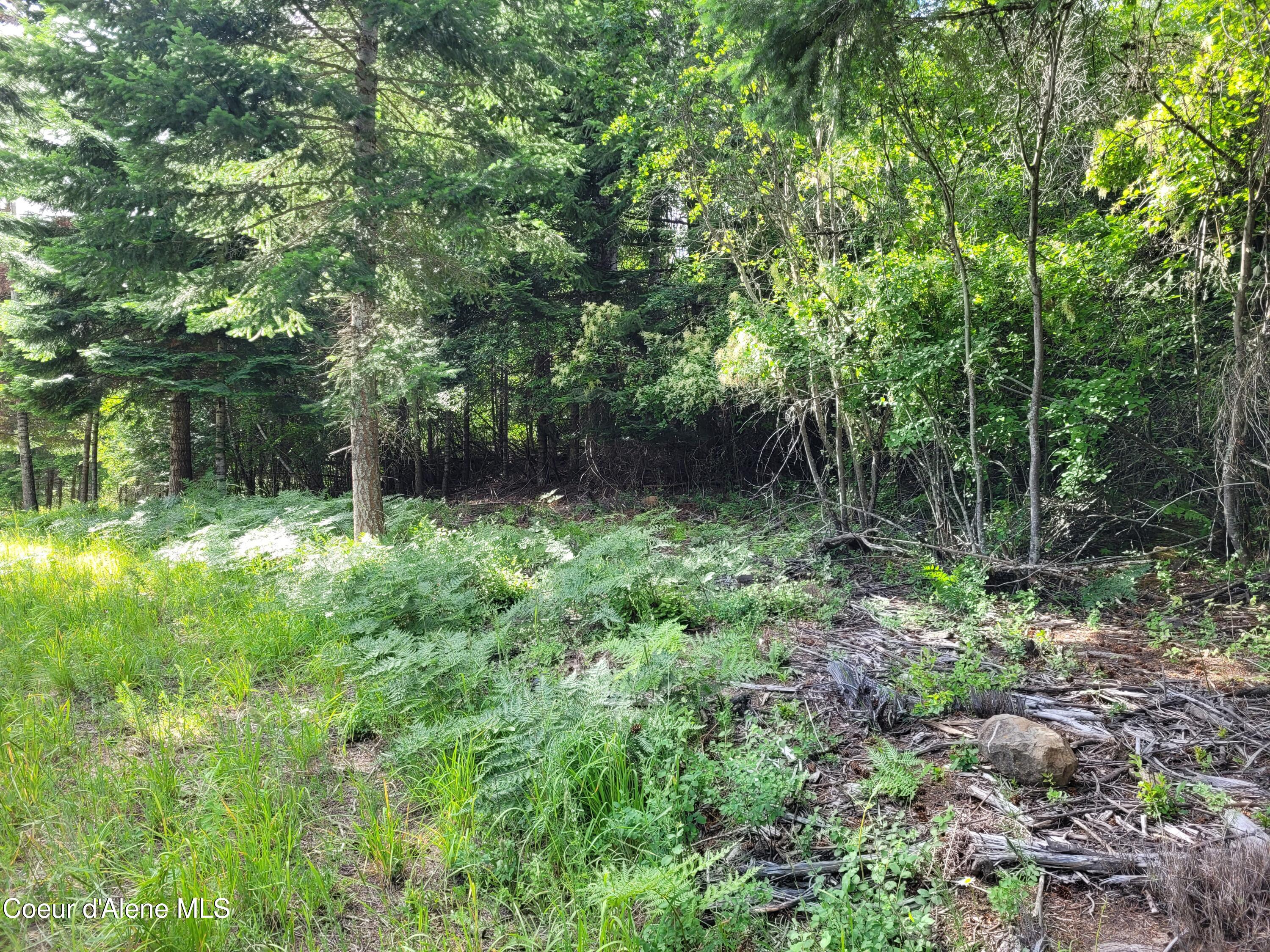 Nka South Skyview Road Harrison, ID 83833 - Photo 8 of 33 20230621_164752