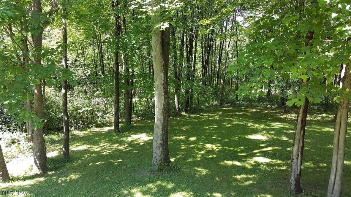 5186 Everett Road Akron, OH 44333 - Photo 14 of 14