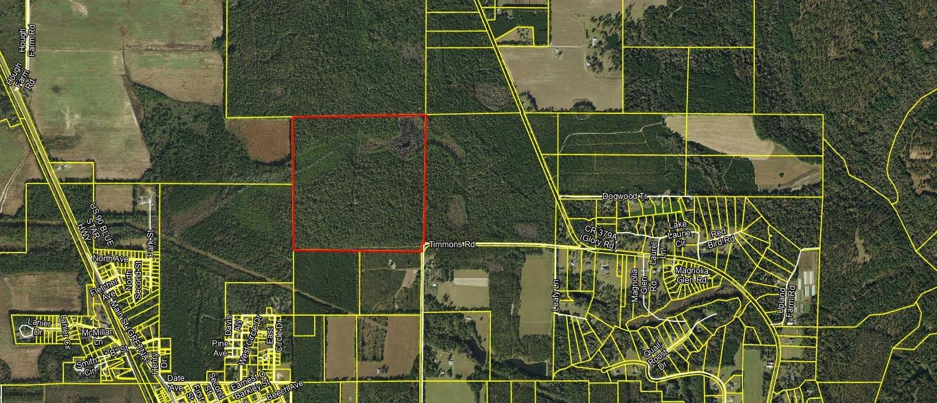 0 Timmons Road Gretna, FL 32332 - Photo 17 of 17