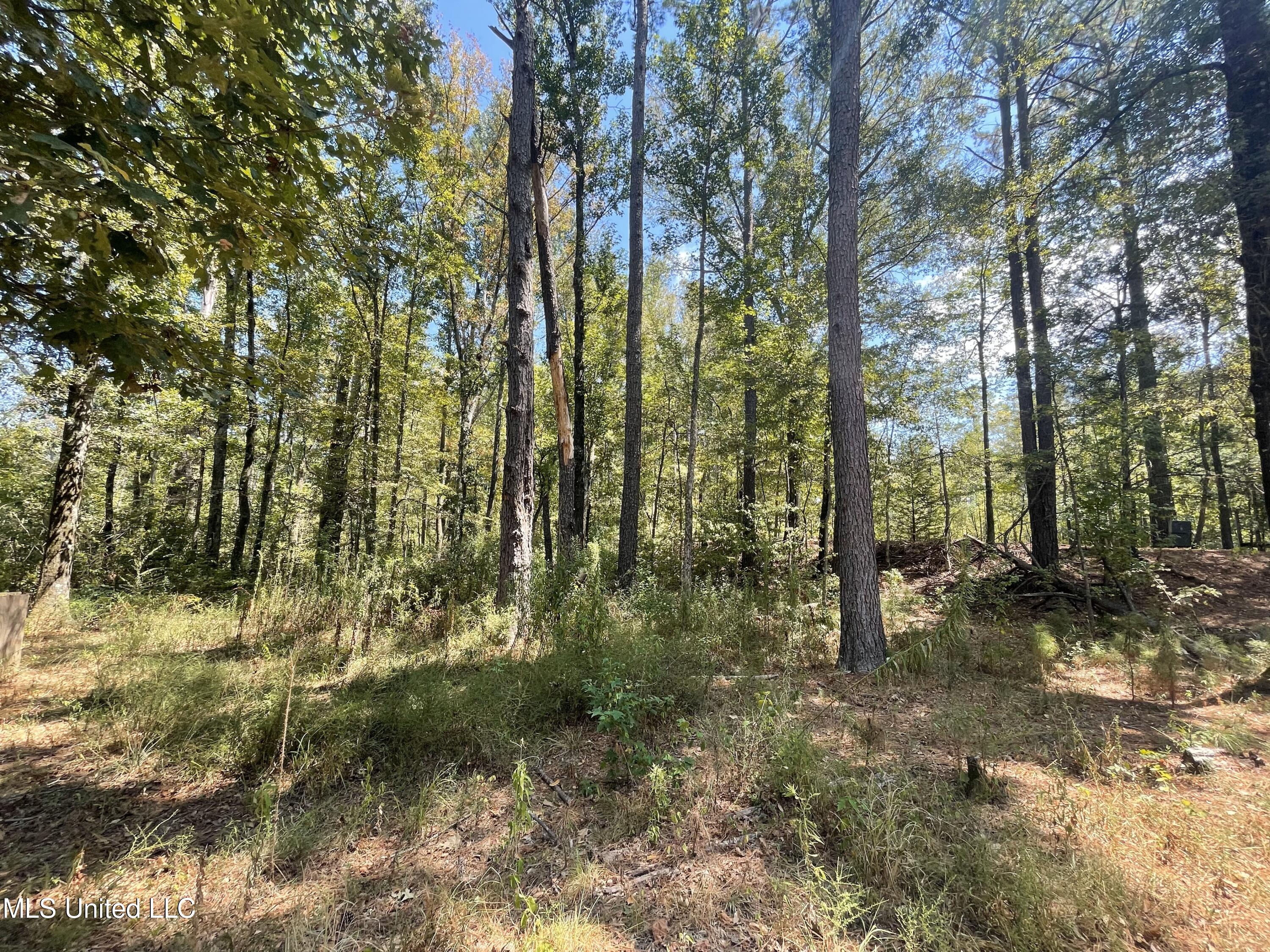 1169 Barnes Road Canton, MS 39046 - Photo 37 of 52 IMG_3942