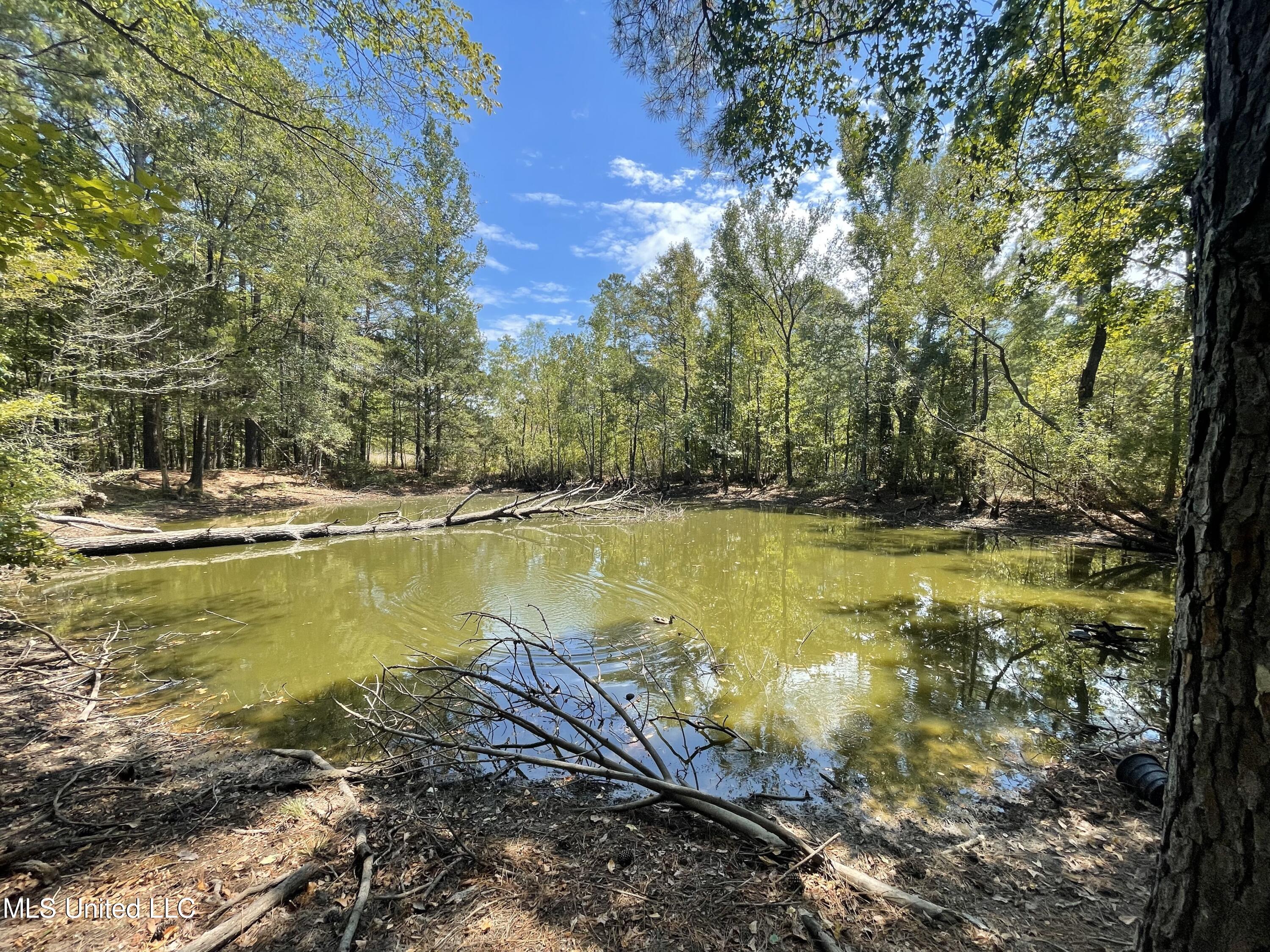 1169 Barnes Road Canton, MS 39046 - Photo 39 of 52 IMG_3946