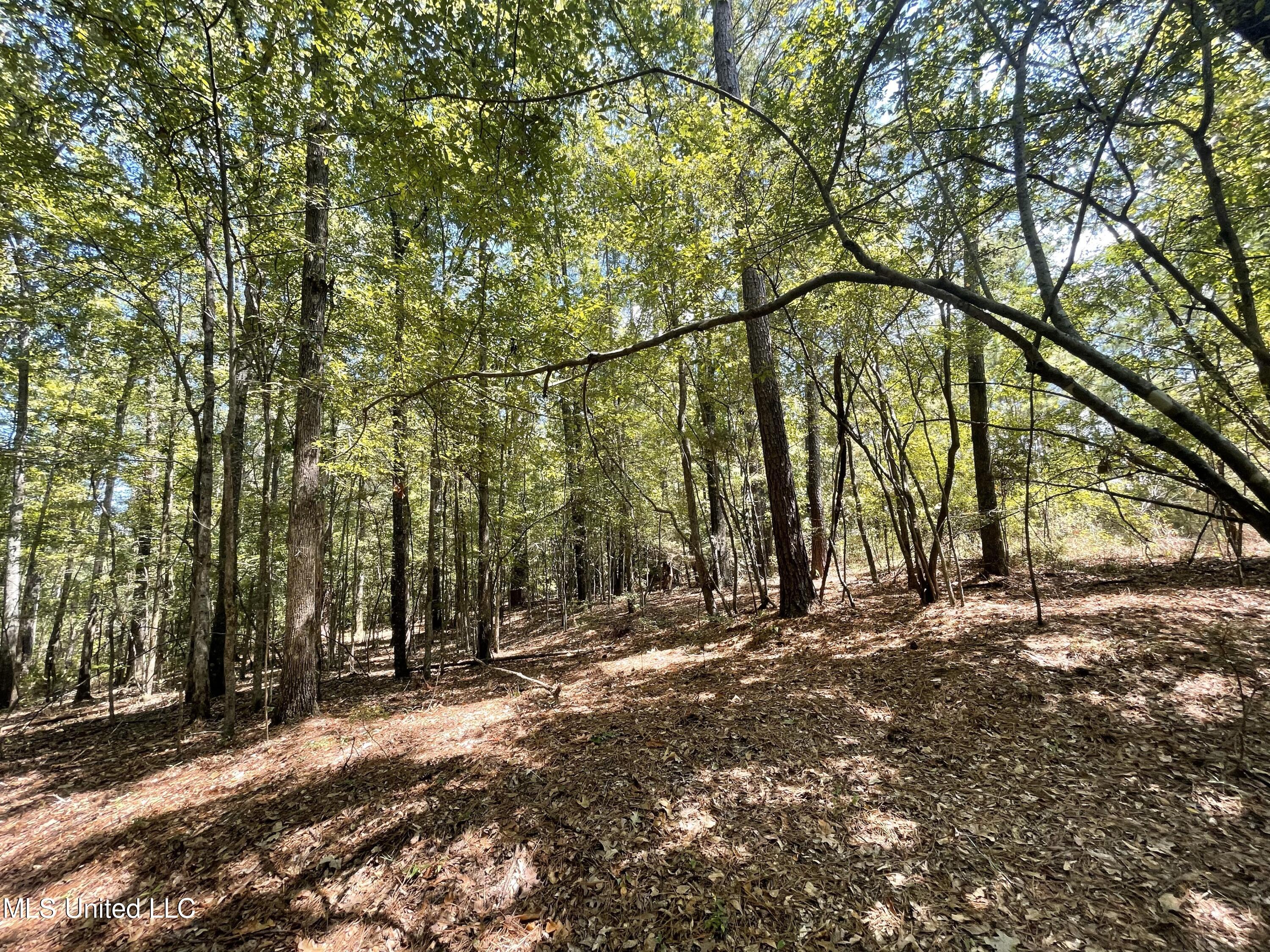 1169 Barnes Road Canton, MS 39046 - Photo 45 of 52 IMG_3956
