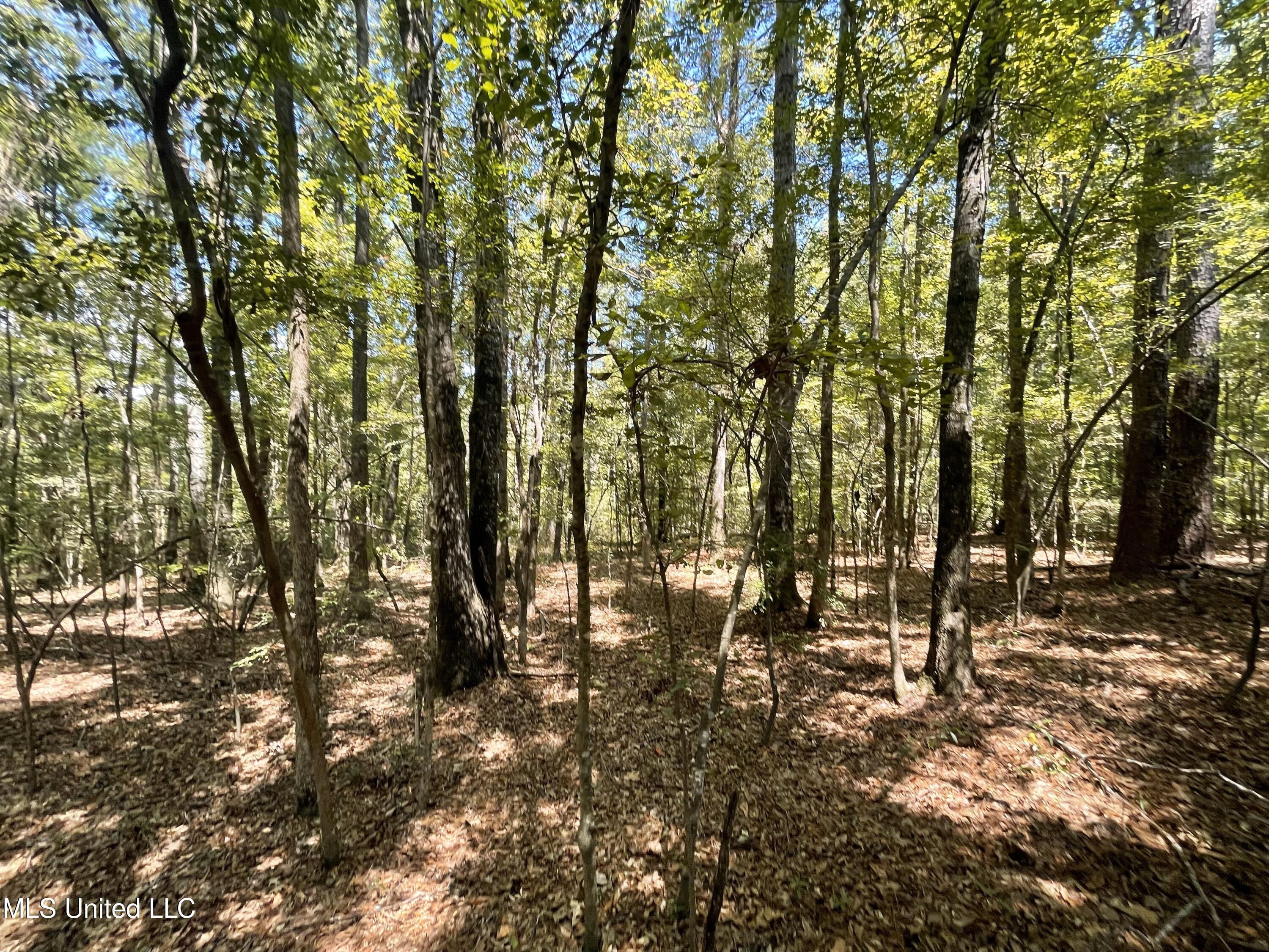1169 Barnes Road Canton, MS 39046 - Photo 46 of 52 IMG_3959