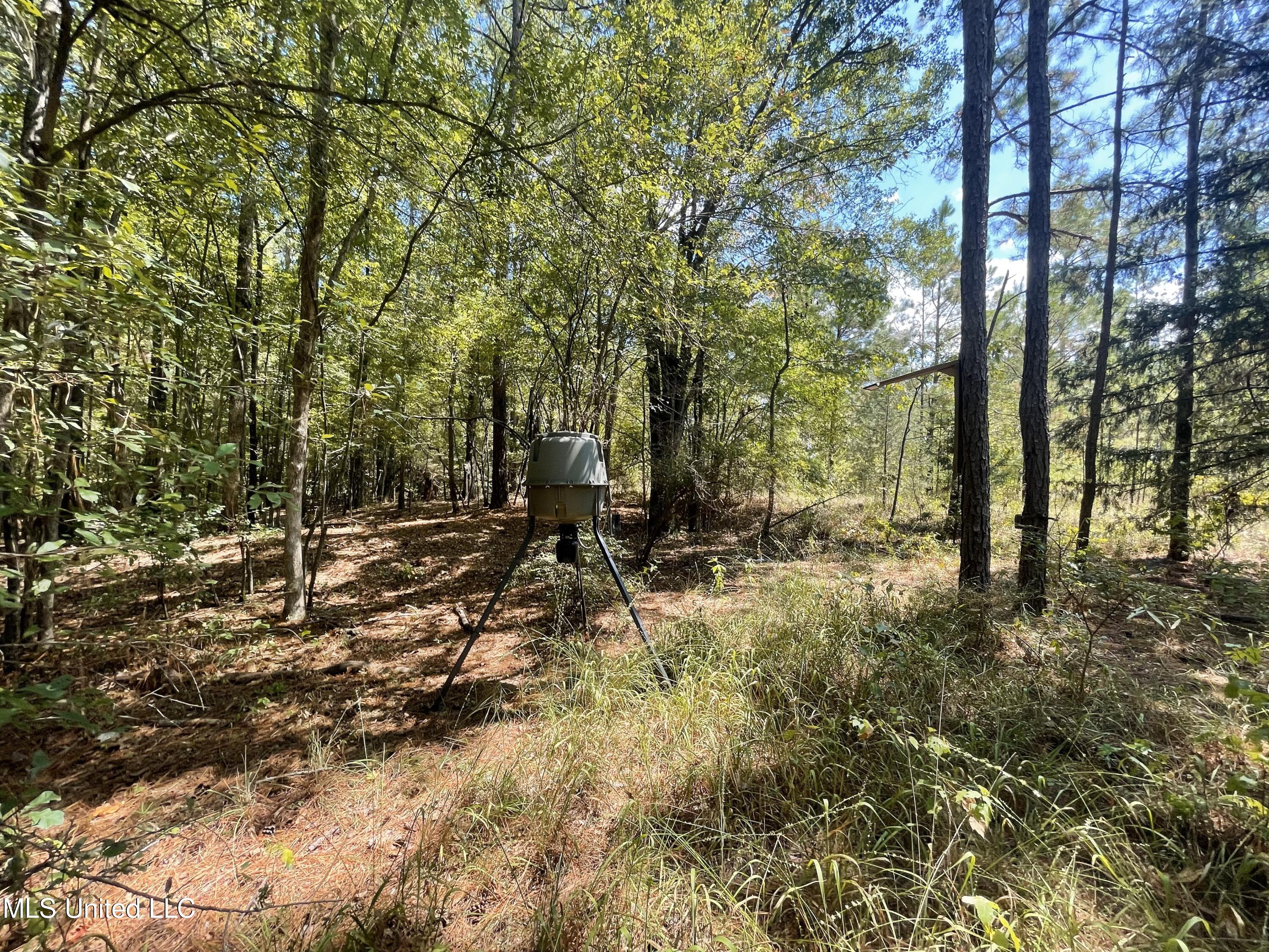 1169 Barnes Road Canton, MS 39046 - Photo 47 of 52 IMG_3960