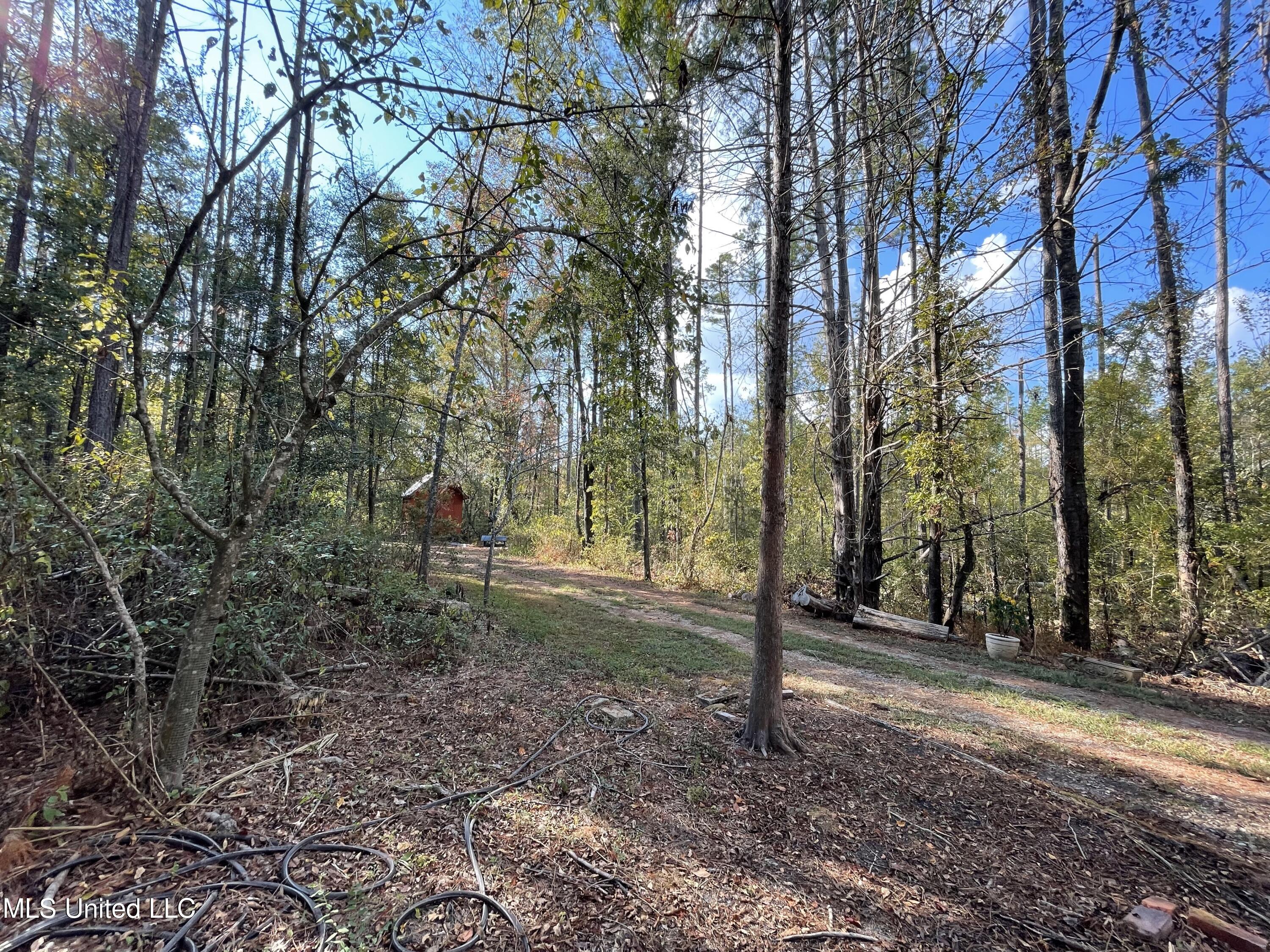 1169 Barnes Road Canton, MS 39046 - Photo 52 of 52 IMG_4388