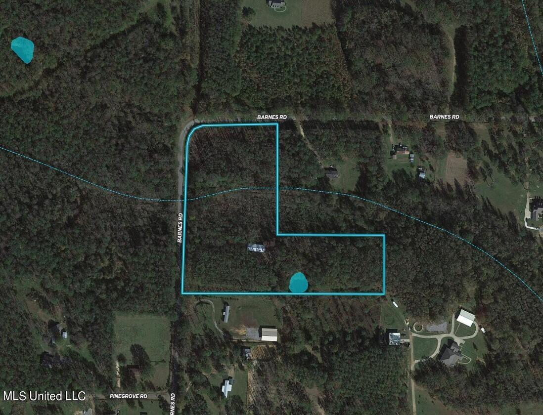 1169 Barnes Road Canton, MS 39046 - Photo 10 of 52 Aerial