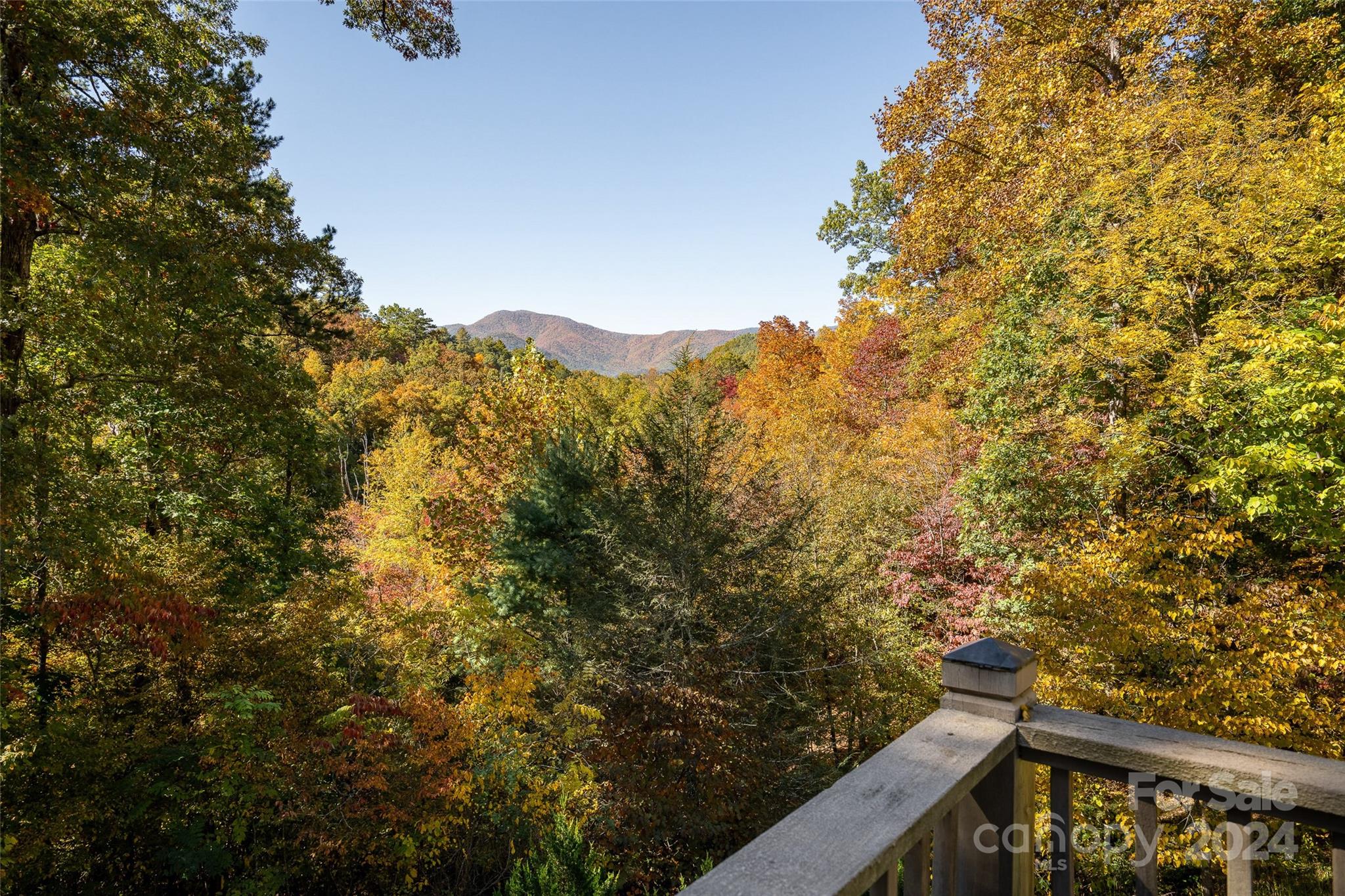 678 Middle Burningtown Road Franklin, NC 28734 - Photo 2 of 48 Gallery Image 2