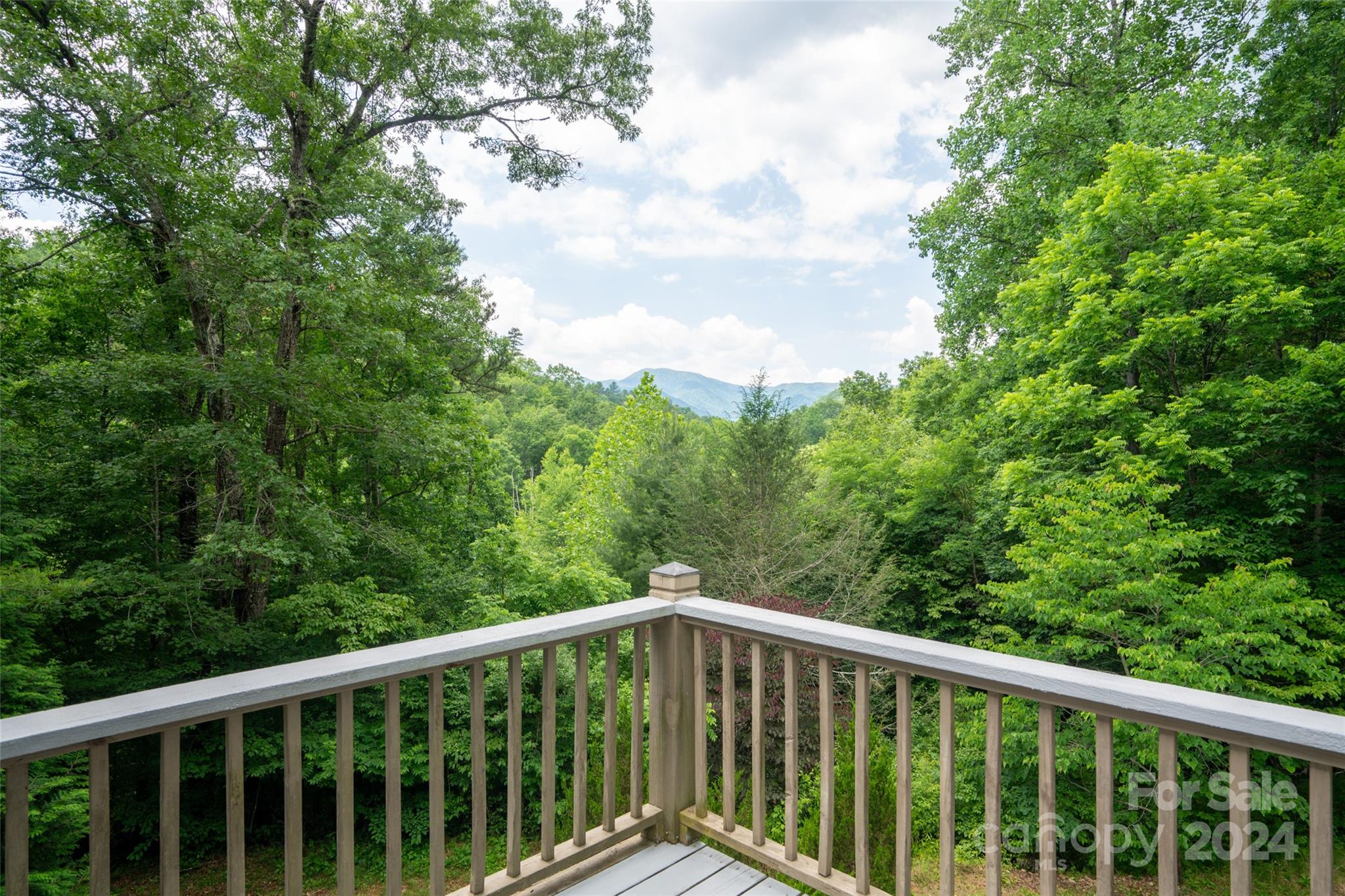 678 Middle Burningtown Road Franklin, NC 28734 - Photo 30 of 48 Gallery Image 30