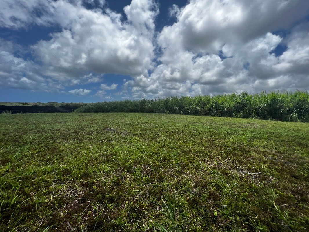 39 Pohoiki Road Pahoa, HI 96778 - Photo 11 of 27 Gallery Image 11