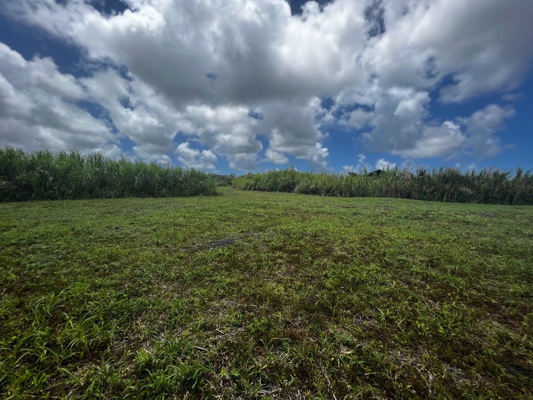 39 Pohoiki Road Pahoa, HI 96778 - Photo 13 of 27 Gallery Image 13