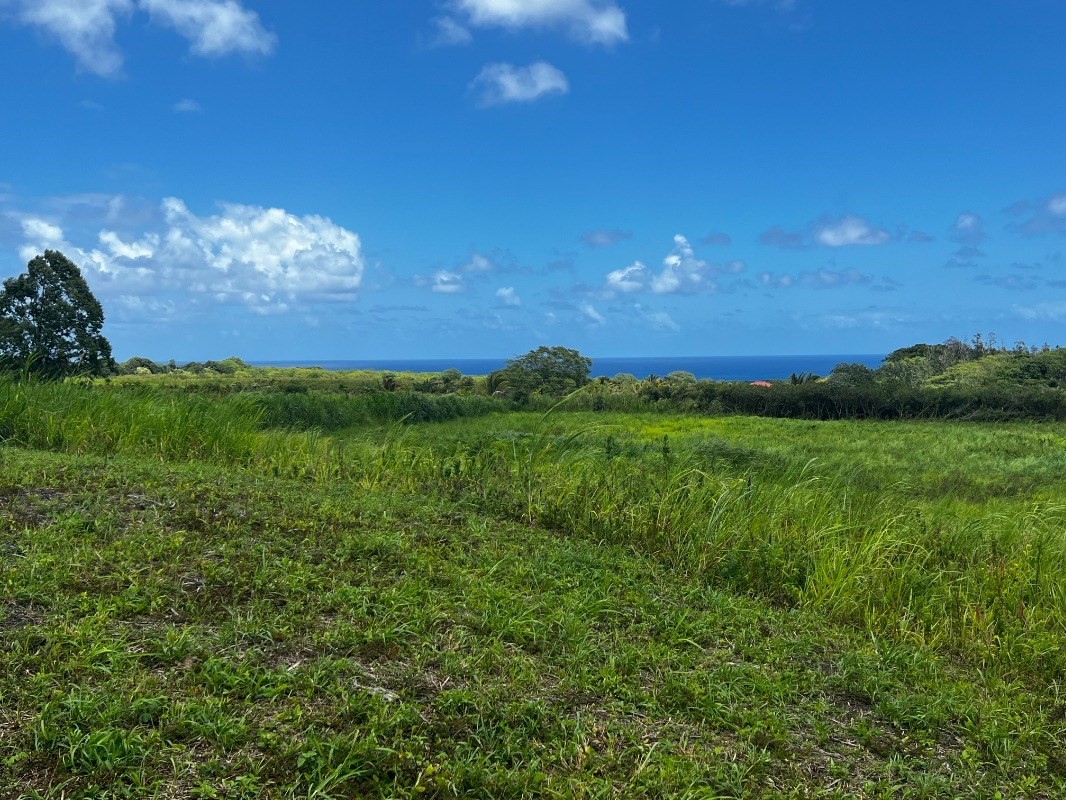 39 Pohoiki Road Pahoa, HI 96778 - Photo 14 of 27 Gallery Image 14