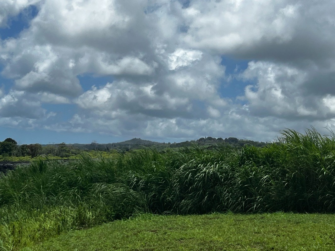 39 Pohoiki Road Pahoa, HI 96778 - Photo 15 of 27 Gallery Image 15