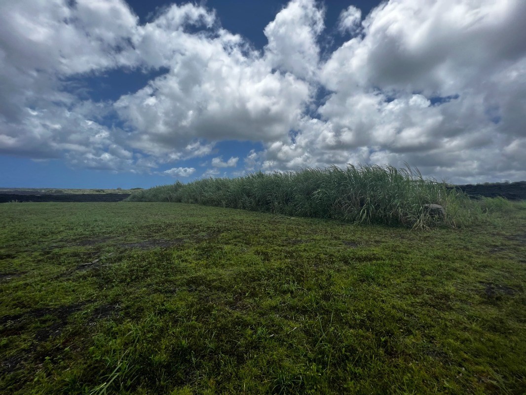39 Pohoiki Road Pahoa, HI 96778 - Photo 16 of 27 Gallery Image 16