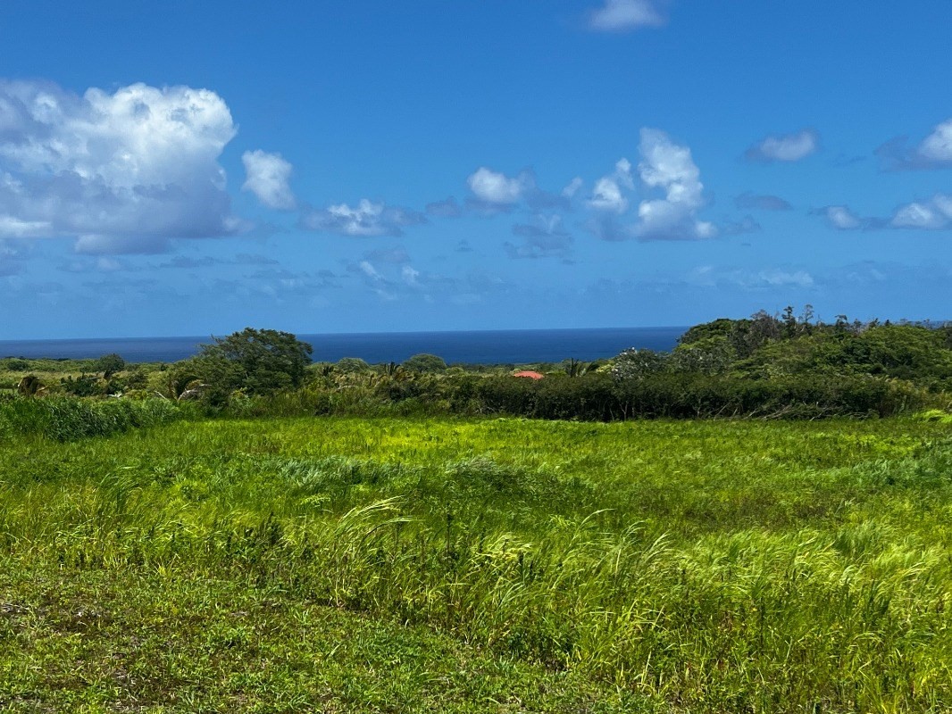 39 Pohoiki Road Pahoa, HI 96778 - Photo 17 of 27 Gallery Image 17