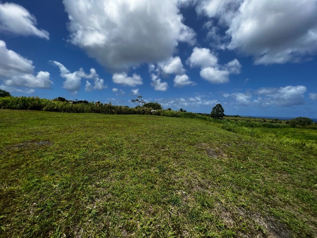 39 Pohoiki Road Pahoa, HI 96778 - Photo 18 of 27 Gallery Image 18