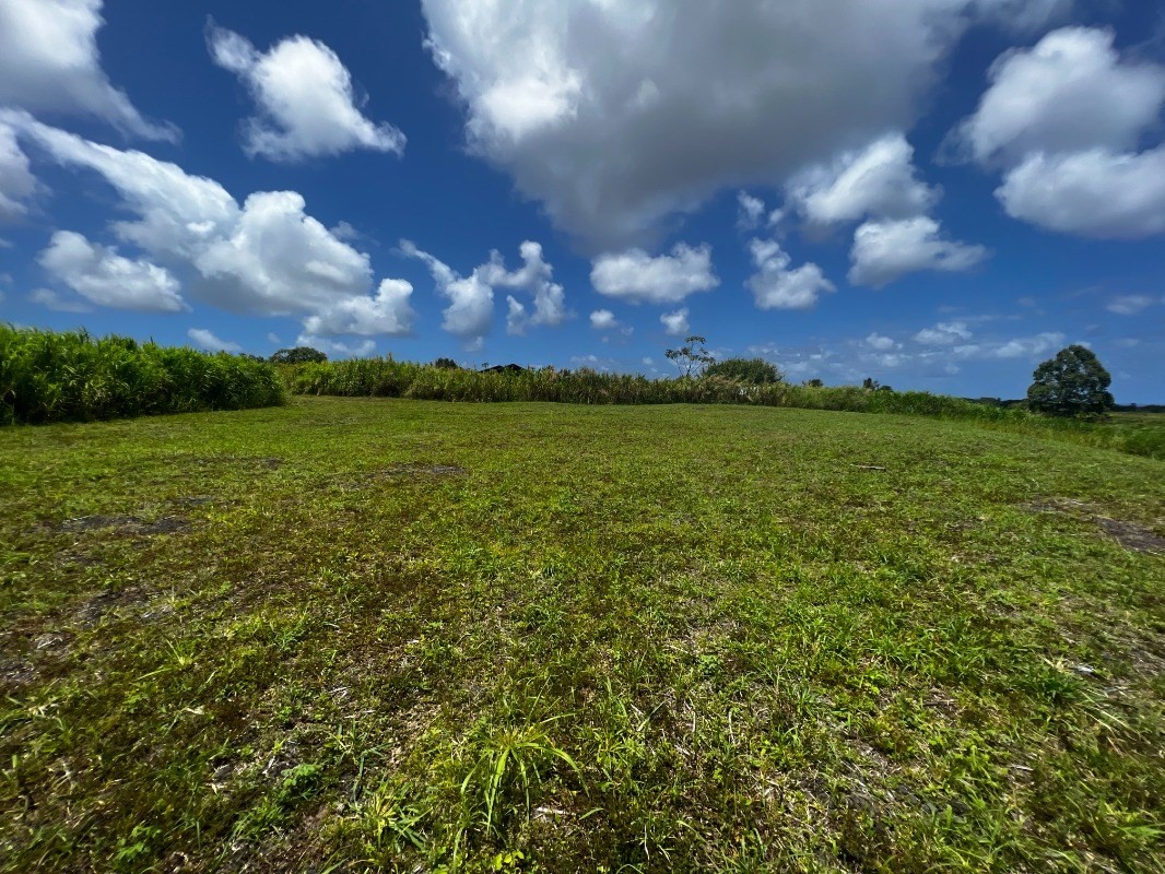 39 Pohoiki Road Pahoa, HI 96778 - Photo 19 of 27 Gallery Image 19