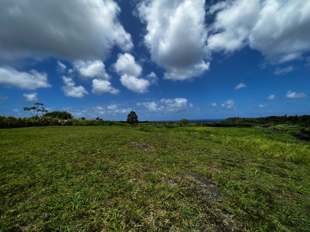 39 Pohoiki Road Pahoa, HI 96778 - Photo 20 of 27 Gallery Image 20