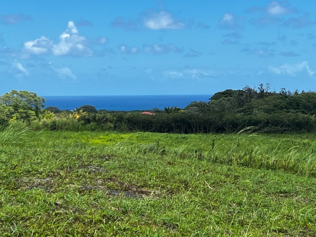 39 Pohoiki Road Pahoa, HI 96778 - Photo 2 of 27 Gallery Image 2