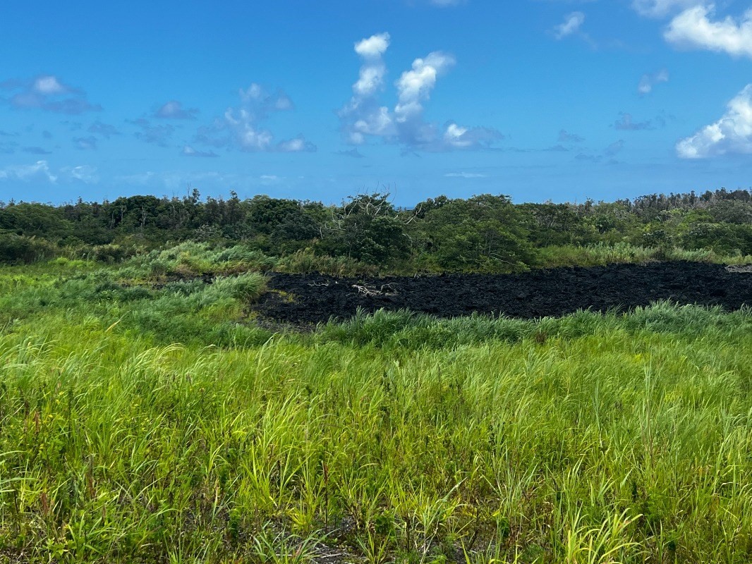 39 Pohoiki Road Pahoa, HI 96778 - Photo 21 of 27 Gallery Image 21