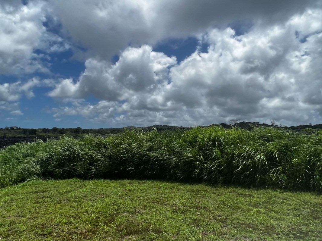 39 Pohoiki Road Pahoa, HI 96778 - Photo 22 of 27 Gallery Image 22
