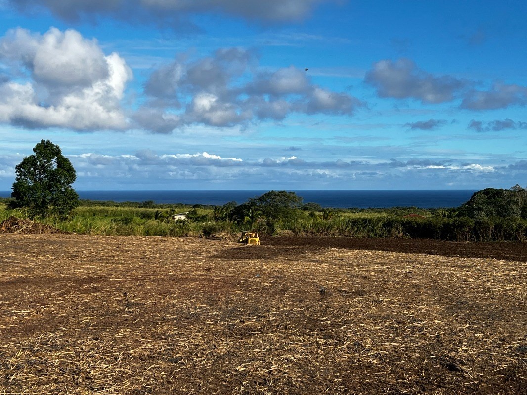 39 Pohoiki Road Pahoa, HI 96778 - Photo 23 of 27 Gallery Image 23