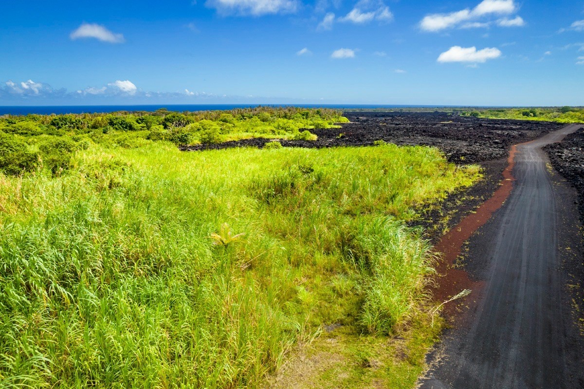 39 Pohoiki Road Pahoa, HI 96778 - Photo 27 of 27 Gallery Image 27