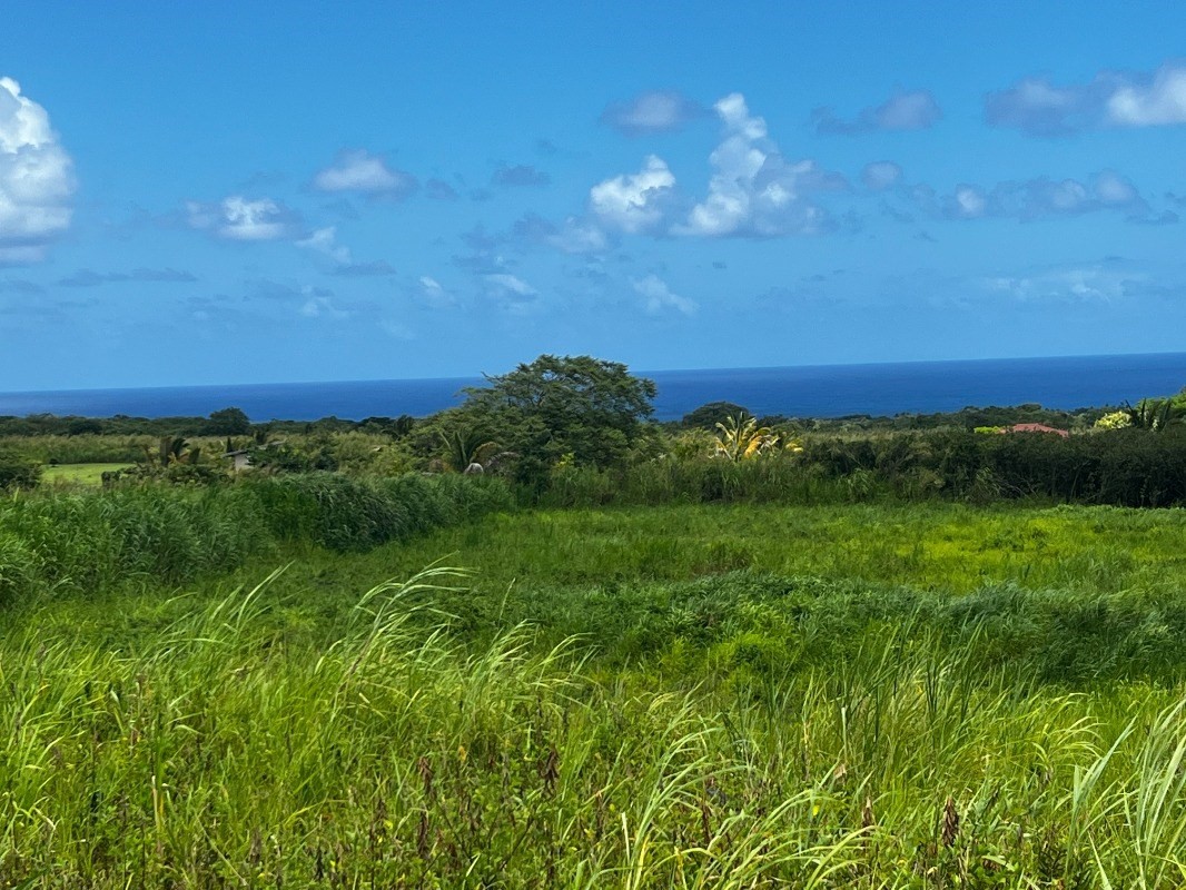 39 Pohoiki Road Pahoa, HI 96778 - Photo 3 of 27 Gallery Image 3