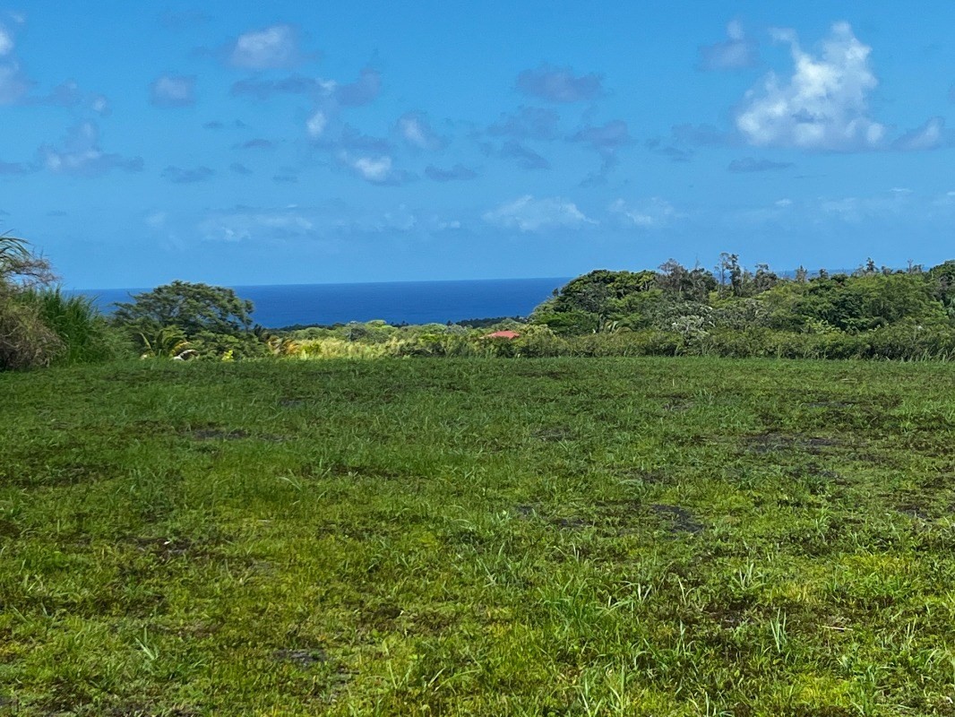 39 Pohoiki Road Pahoa, HI 96778 - Photo 5 of 27 Gallery Image 5