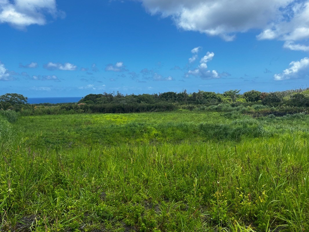 39 Pohoiki Road Pahoa, HI 96778 - Photo 7 of 27 Gallery Image 7