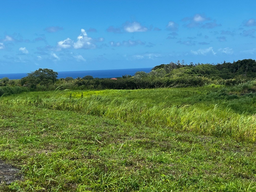 39 Pohoiki Road Pahoa, HI 96778 - Photo 8 of 27 Gallery Image 8