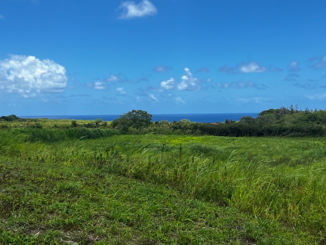 39 Pohoiki Road Pahoa, HI 96778 - Photo 9 of 27 Gallery Image 9