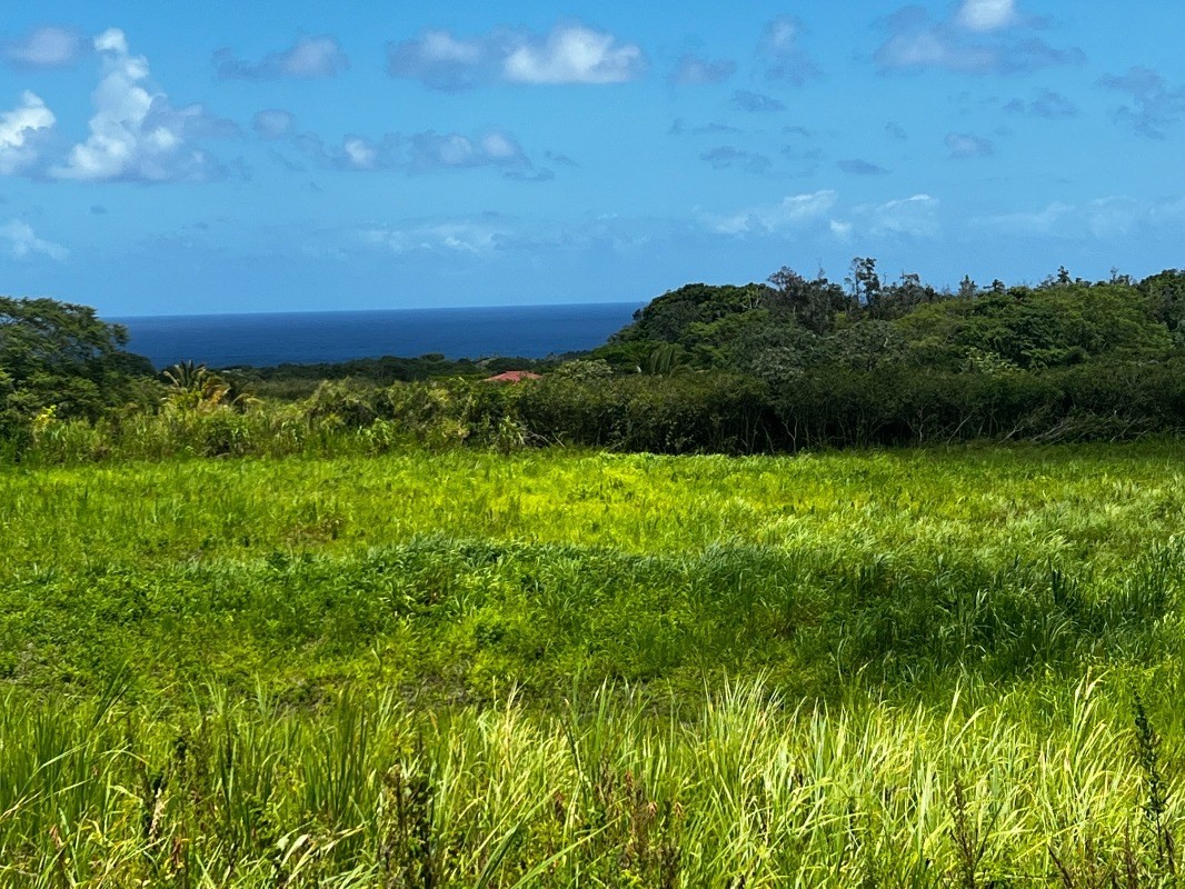 39 Pohoiki Road Pahoa, HI 96778 - Photo 10 of 27 Gallery Image 10