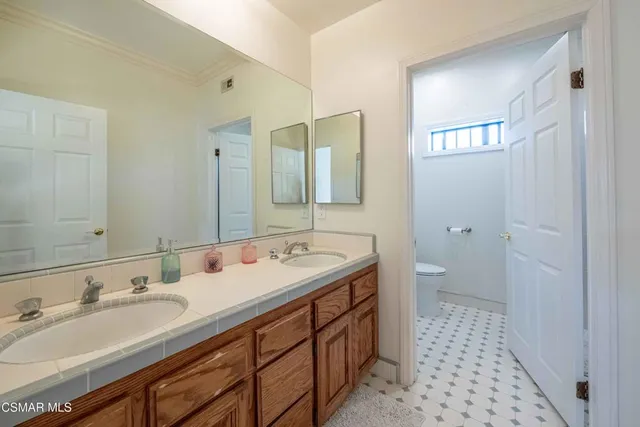 a view of a palm tree sitting in front of a house