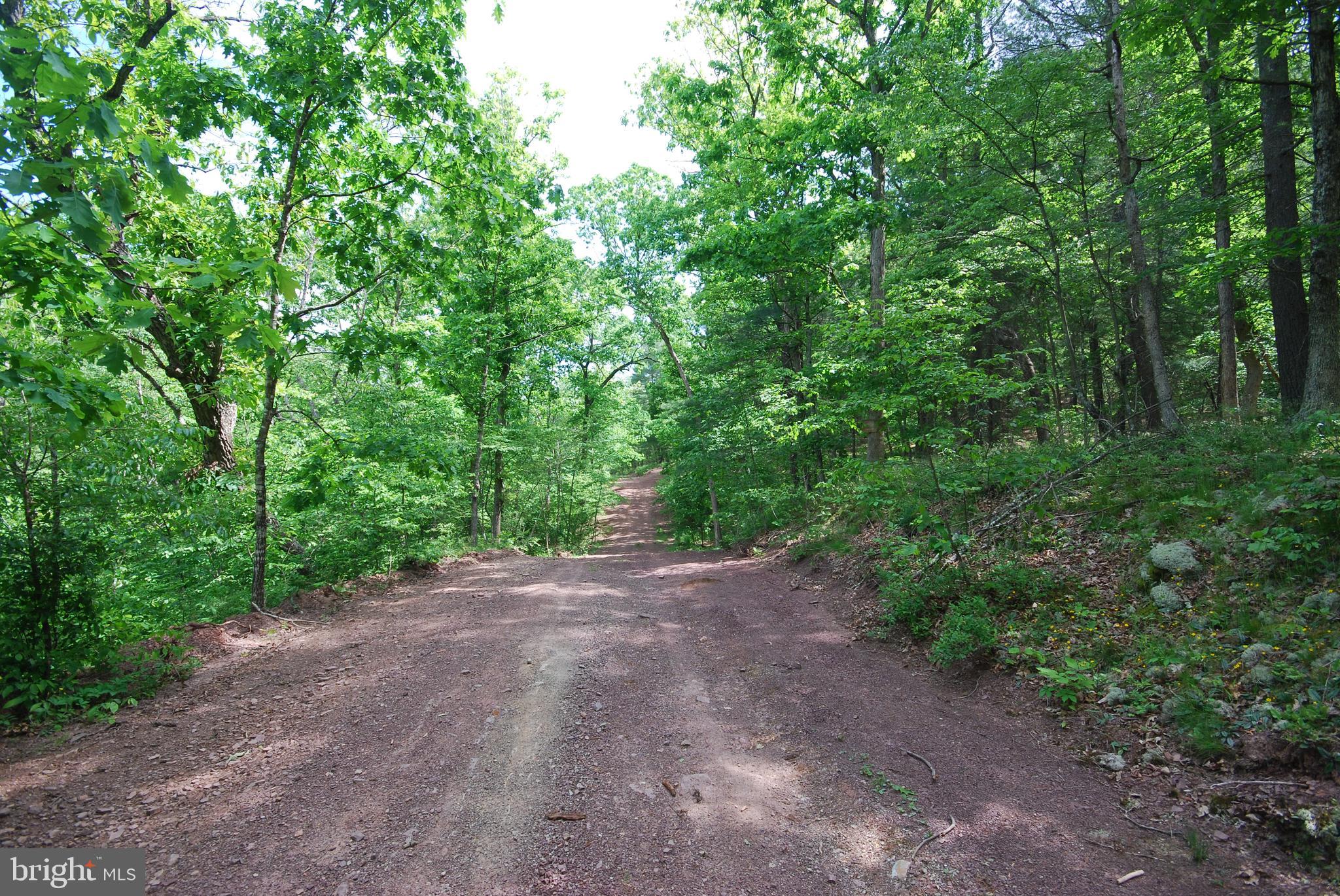 Lot 67 Mill Mountain Road Romney, WV 26757 - Photo 12 of 40