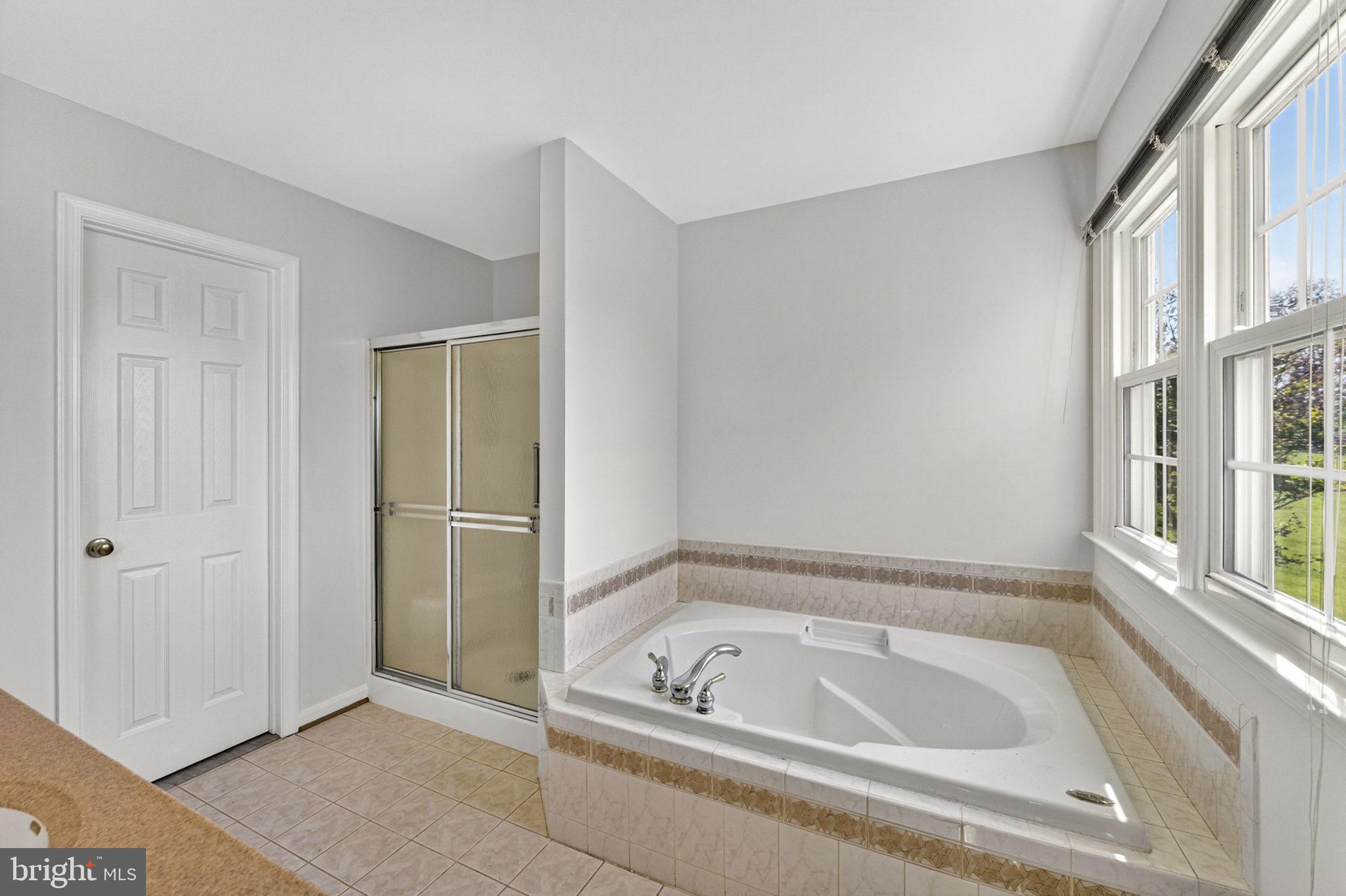 35130 Paxson Road Round Hill, VA 20141 - Photo 22 of 56 Soaking tub and separate shower