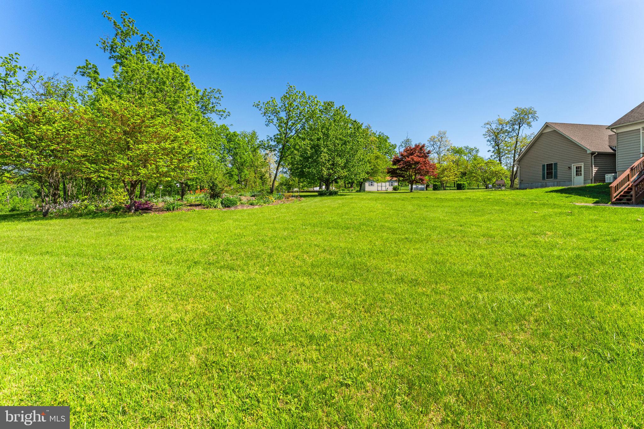 35130 Paxson Road Round Hill, VA 20141 - Photo 3 of 56 Bring your horses!