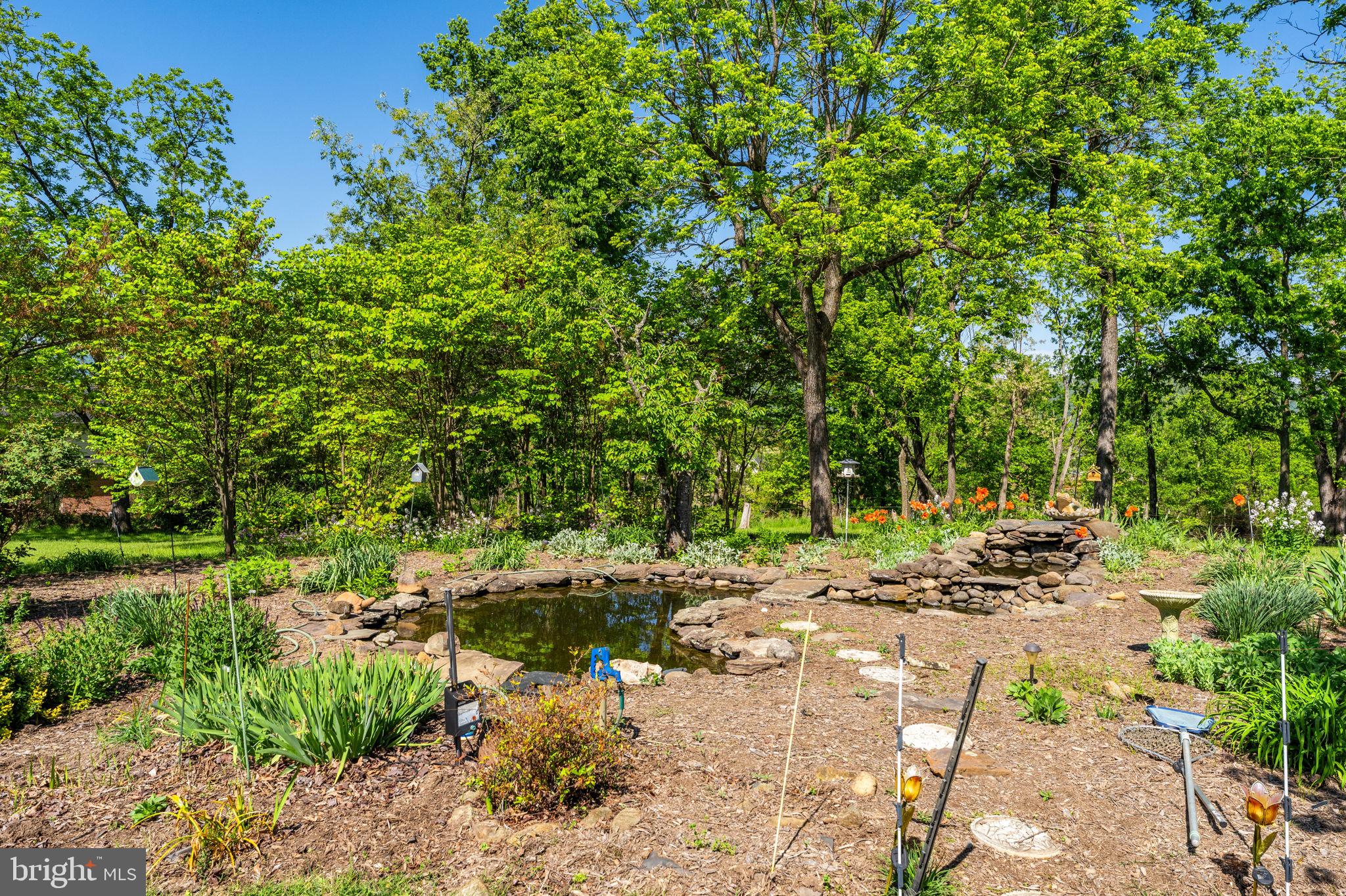 35130 Paxson Road Round Hill, VA 20141 - Photo 48 of 56 Koi Pond with pump and gardens